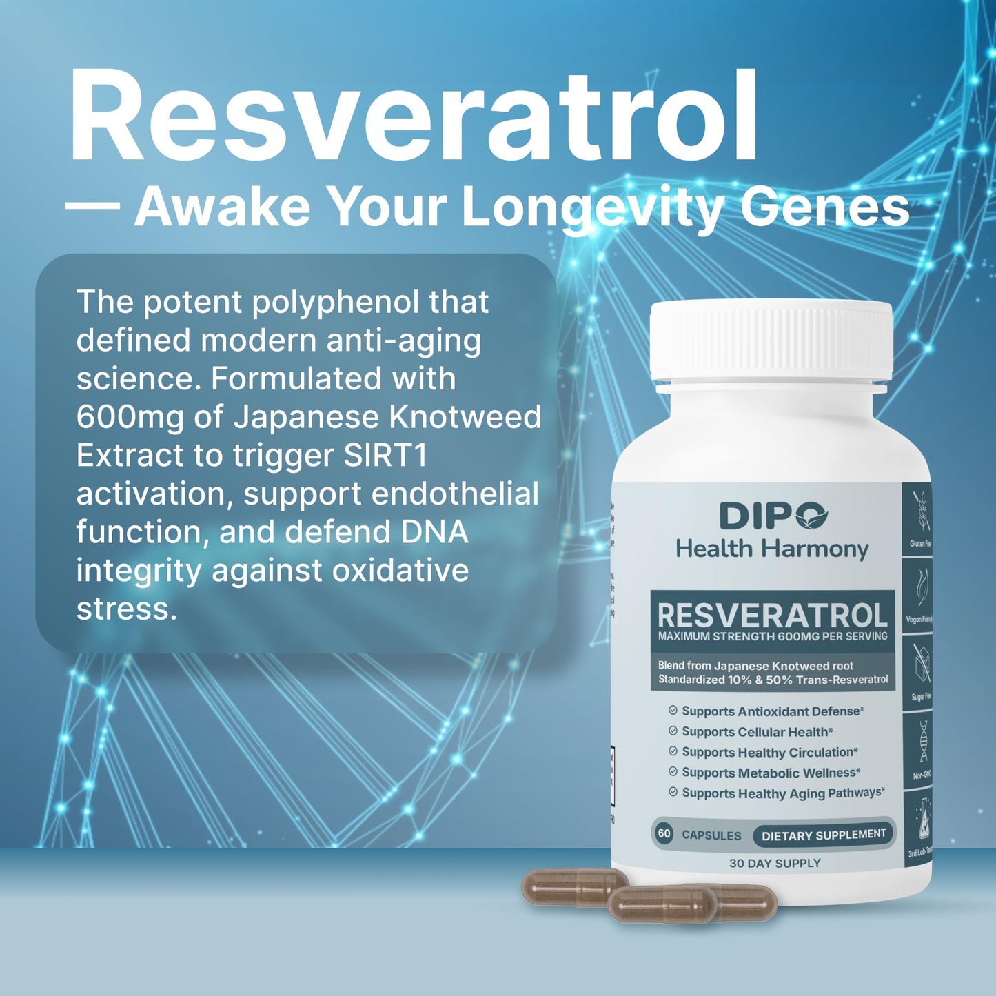 DIPO HEALTH HARMONY Resveratrol Complex 600mg - Trans Resveratrol Supplement from Japanese Knotweed Root Extract, 60 Capsules