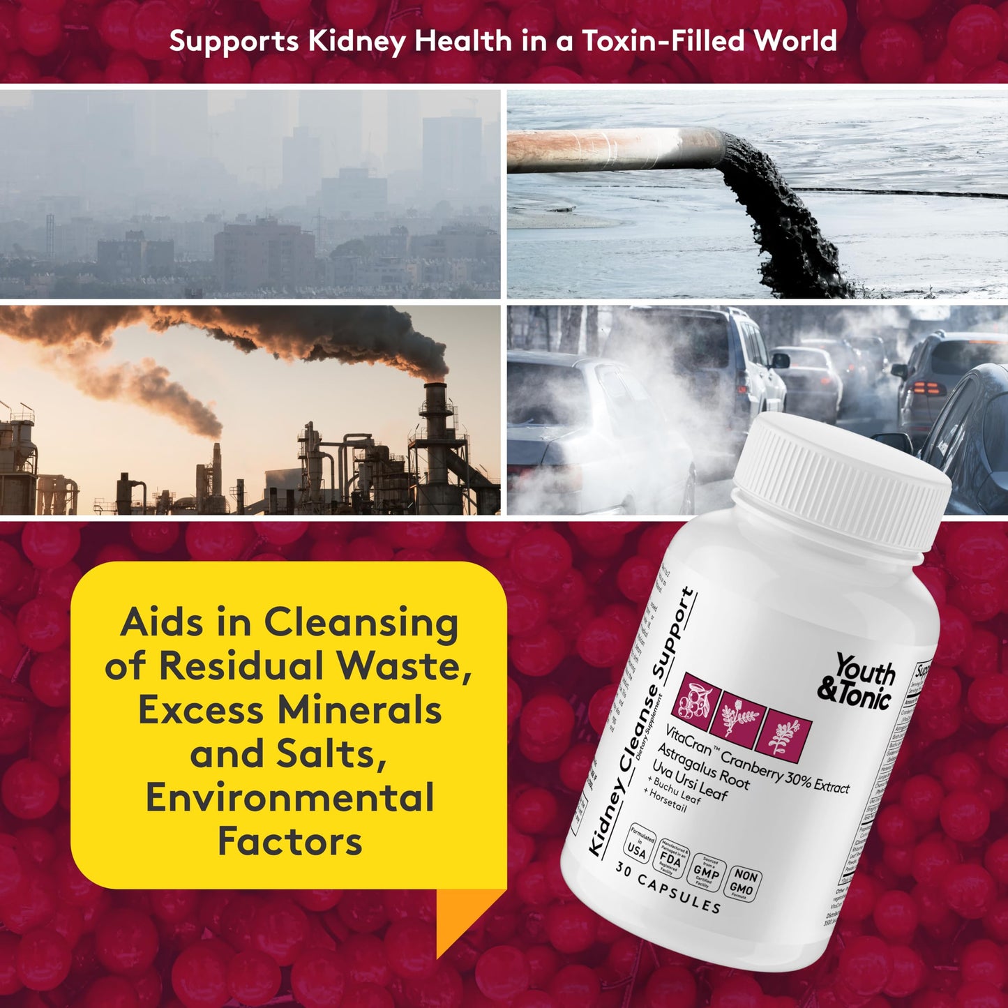 Youth & Tonic Kidney Support Supplement, Cleanse, Detox, Cranberry Extract Capsules, 30 Count