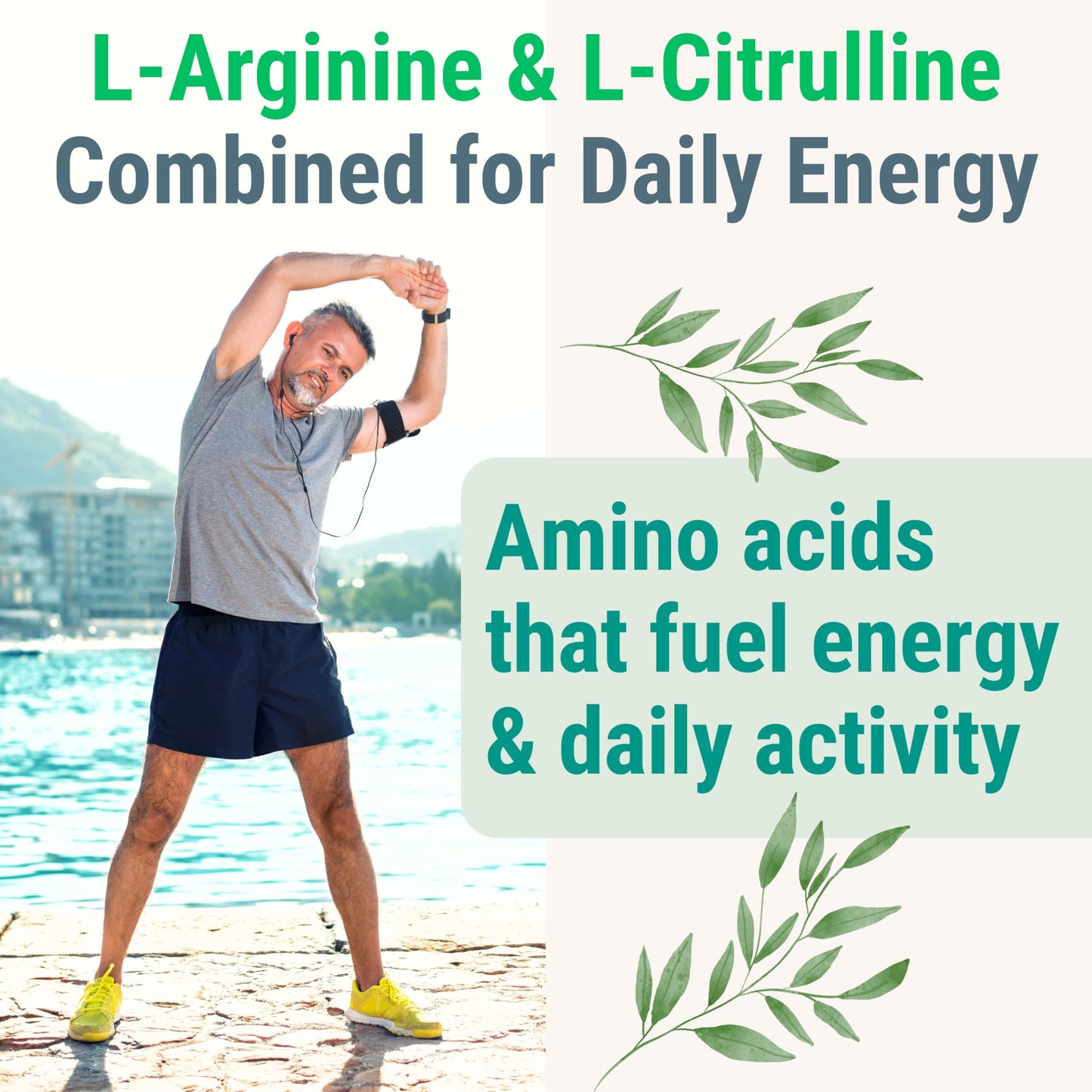 SHIZAM Pine Bark Extract L-Arginine L-Citrulline Beetroot Probiotic Fiber Methylated B Complex Zinc Gummies 60 Count