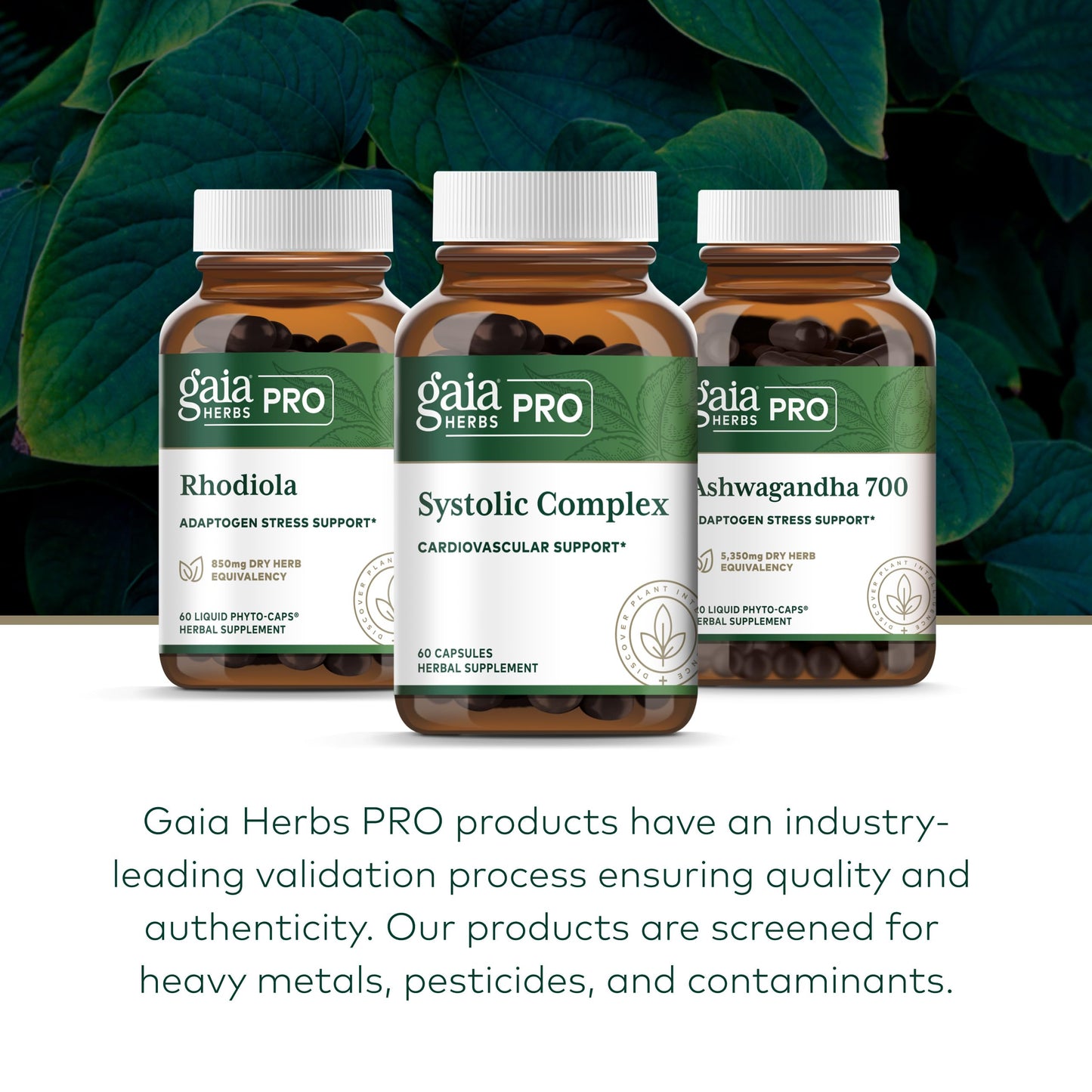 Gaia Herbs PRO Systolic Complex Cardiovascular Support Supplement, 60 Capsules
