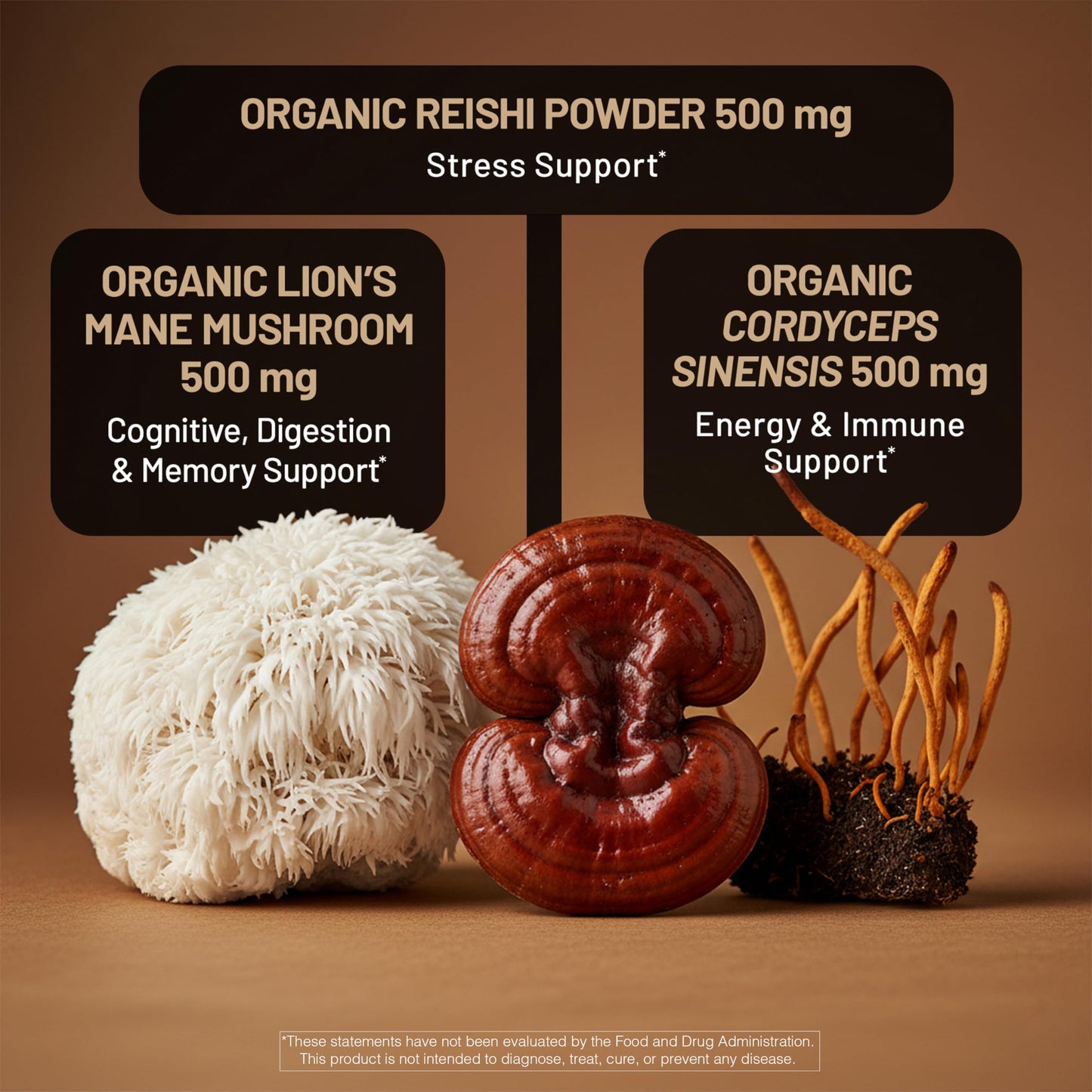 NatureWise Mushroom Complex with Organic Lion's Mane + Reishi & Cordyceps Sinensis Capsules, 90 Count