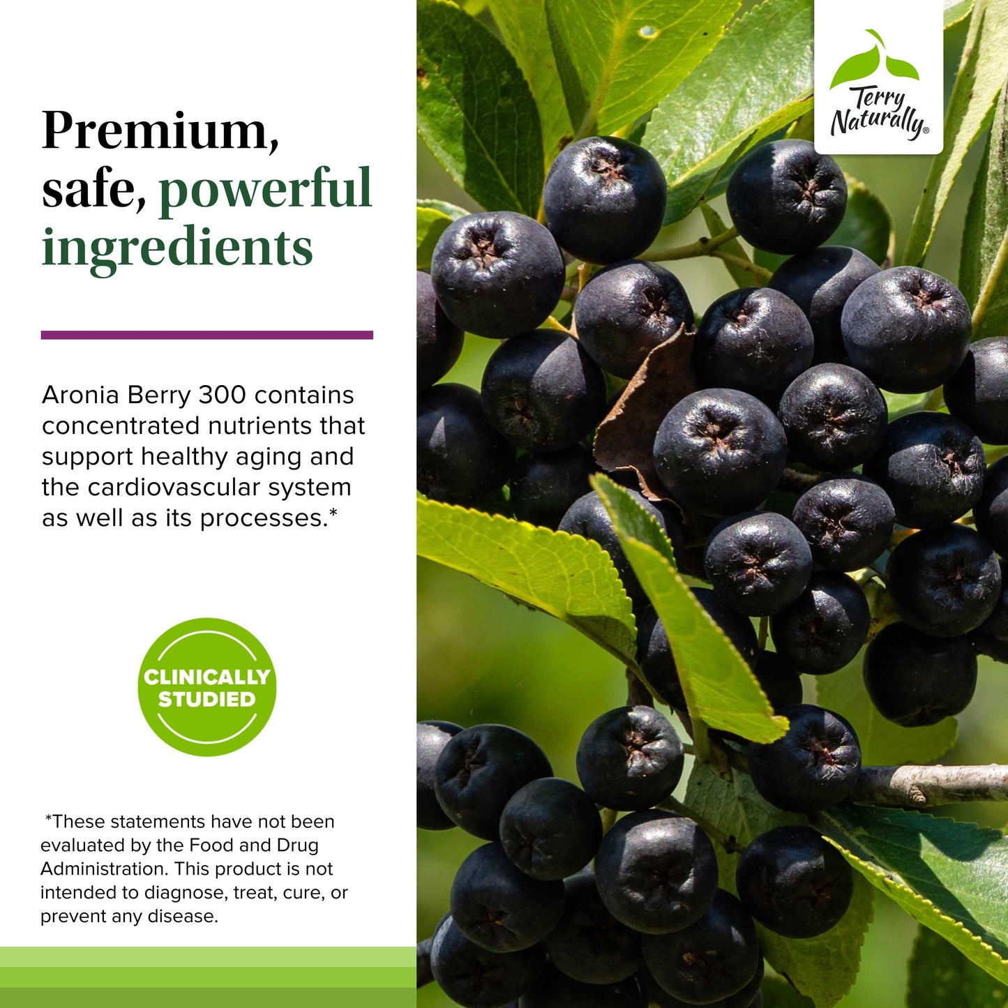 Terry Naturally Aronia Berry 300 Capsule 30