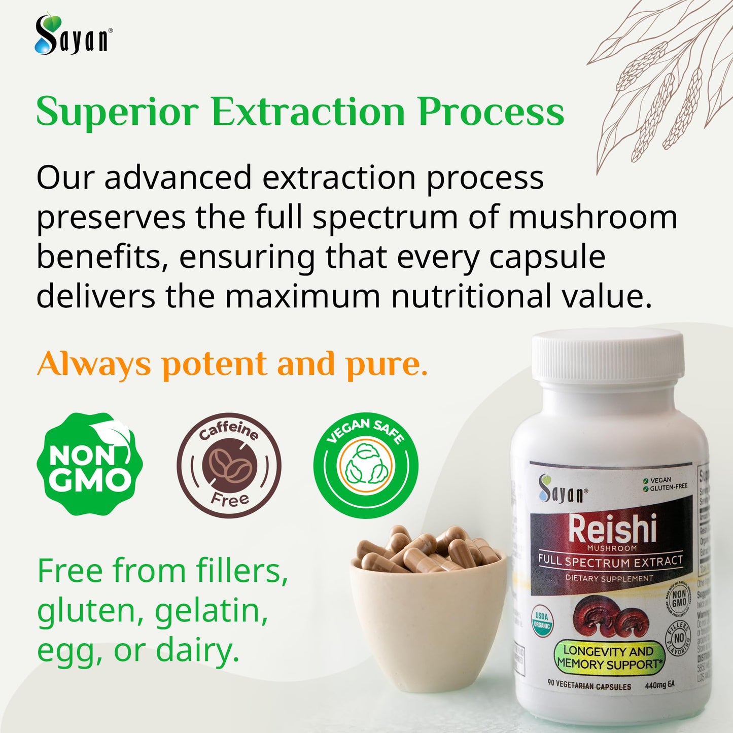 Sayan Reishi Mushroom Extract Capsules 90 Count