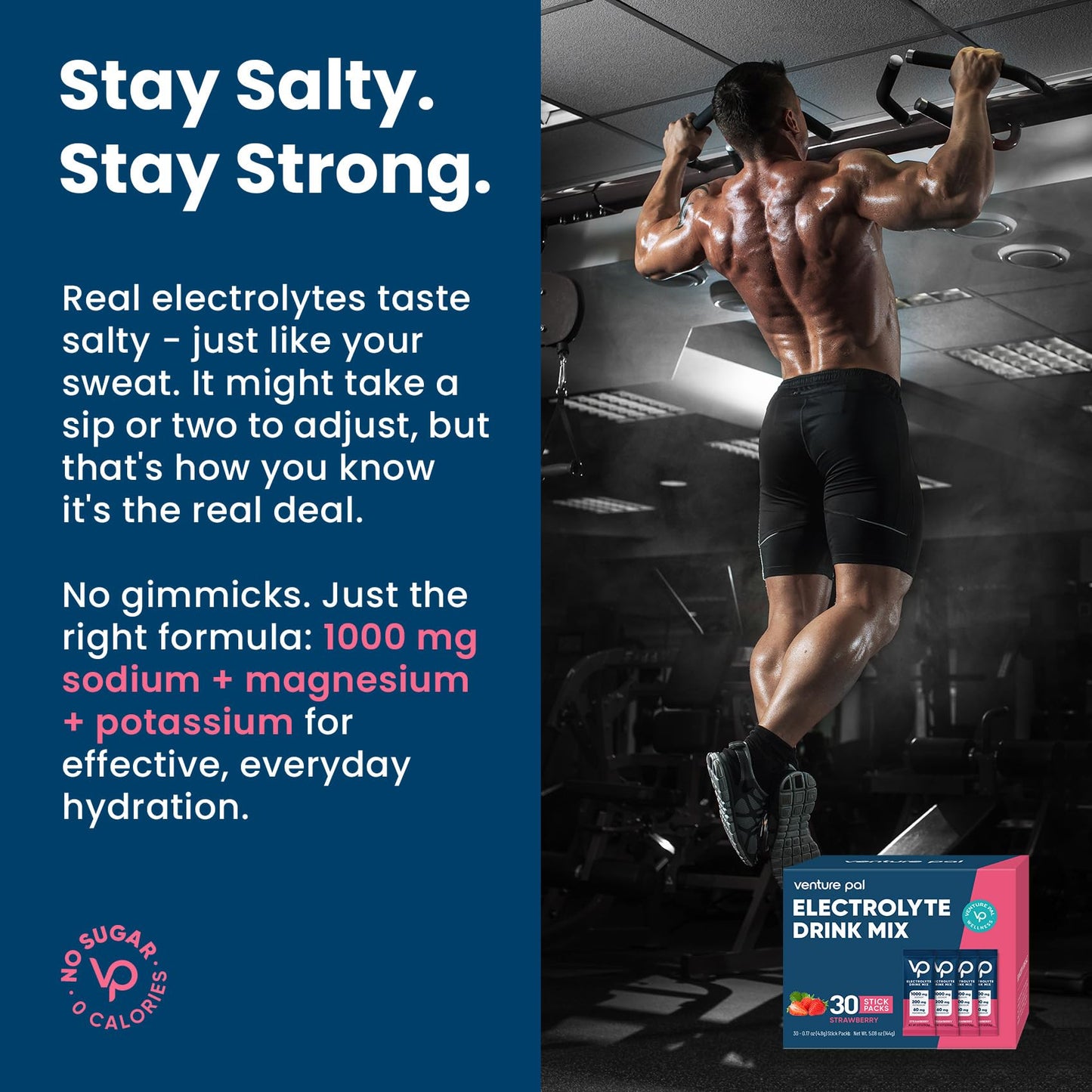 Venture Pal High Sodium Sugar Free Electrolytes Powder 180 Sticks