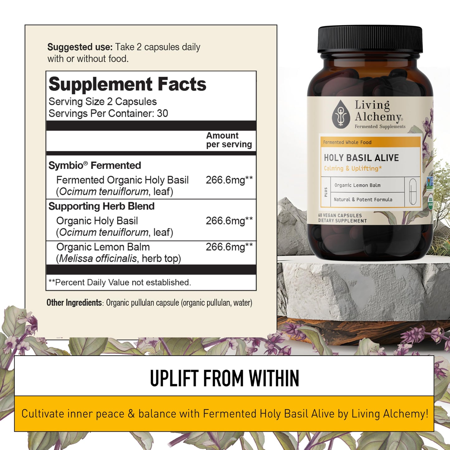 Living Alchemy Holy Basil Supplements - Fermented Holy Basil with Natural Lemon Balm - Daily Supplements for Women & Men - Vegan, Non-GMO Powder, 60