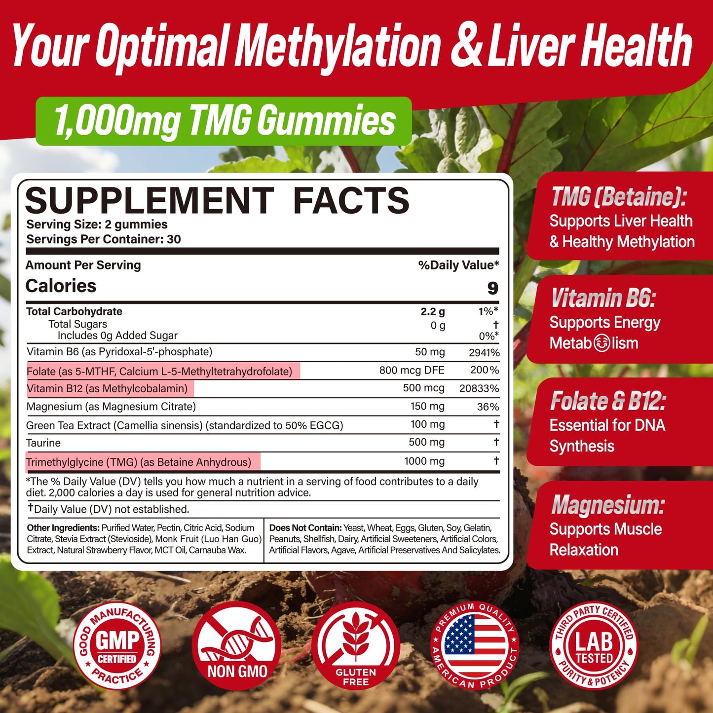 Nextdia TMG Gummies 1000mg Betaine Anhydrous + Methylated Multivitamin & B Complex (Methylfolate, B12, B6) with Magnesium & Taurine, Supports Homocysteine Levels, Brain & Energy, 120 Gummies