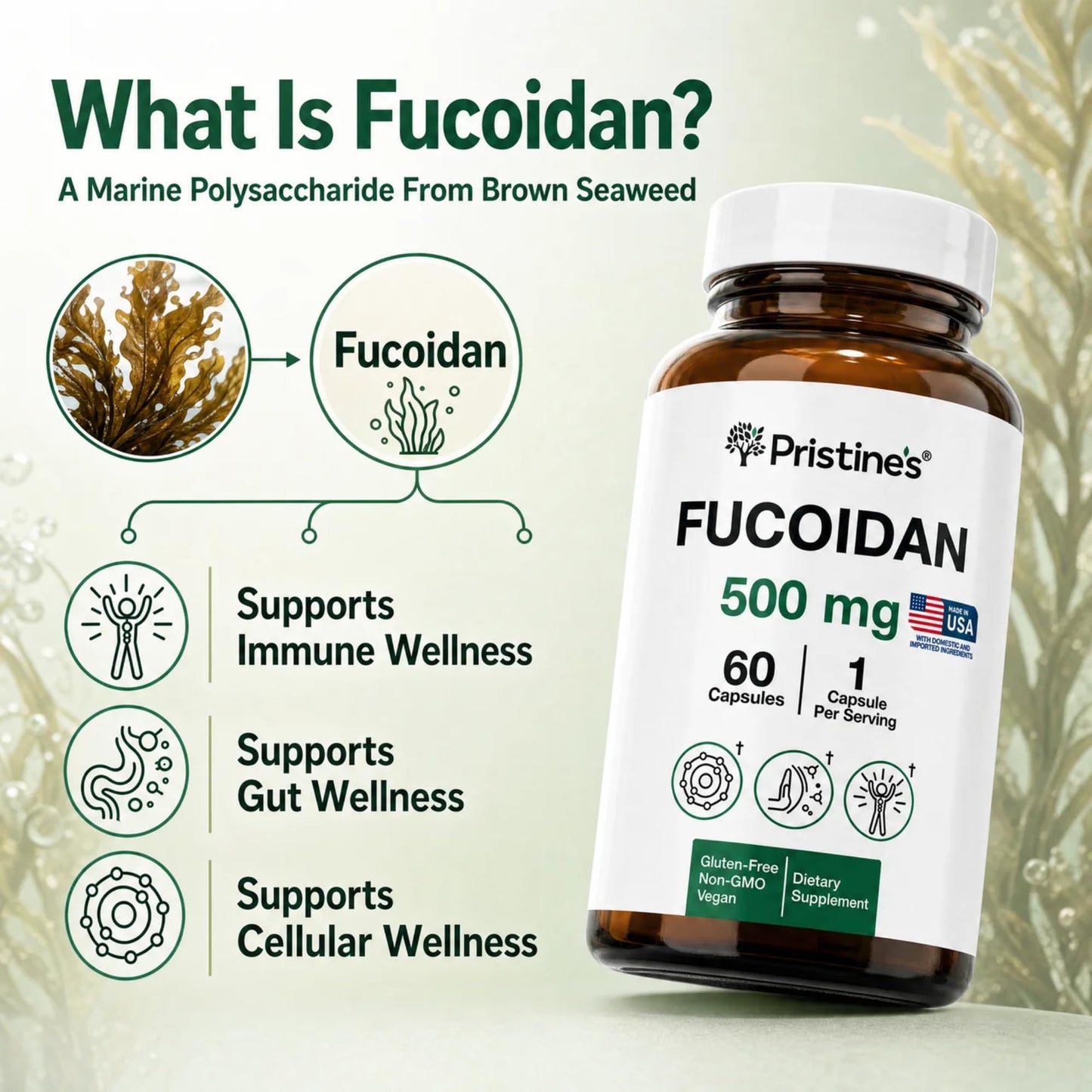 PRISTINE'S Fucoidan 500mg Brown Seaweed Extract Capsules, 60 Count