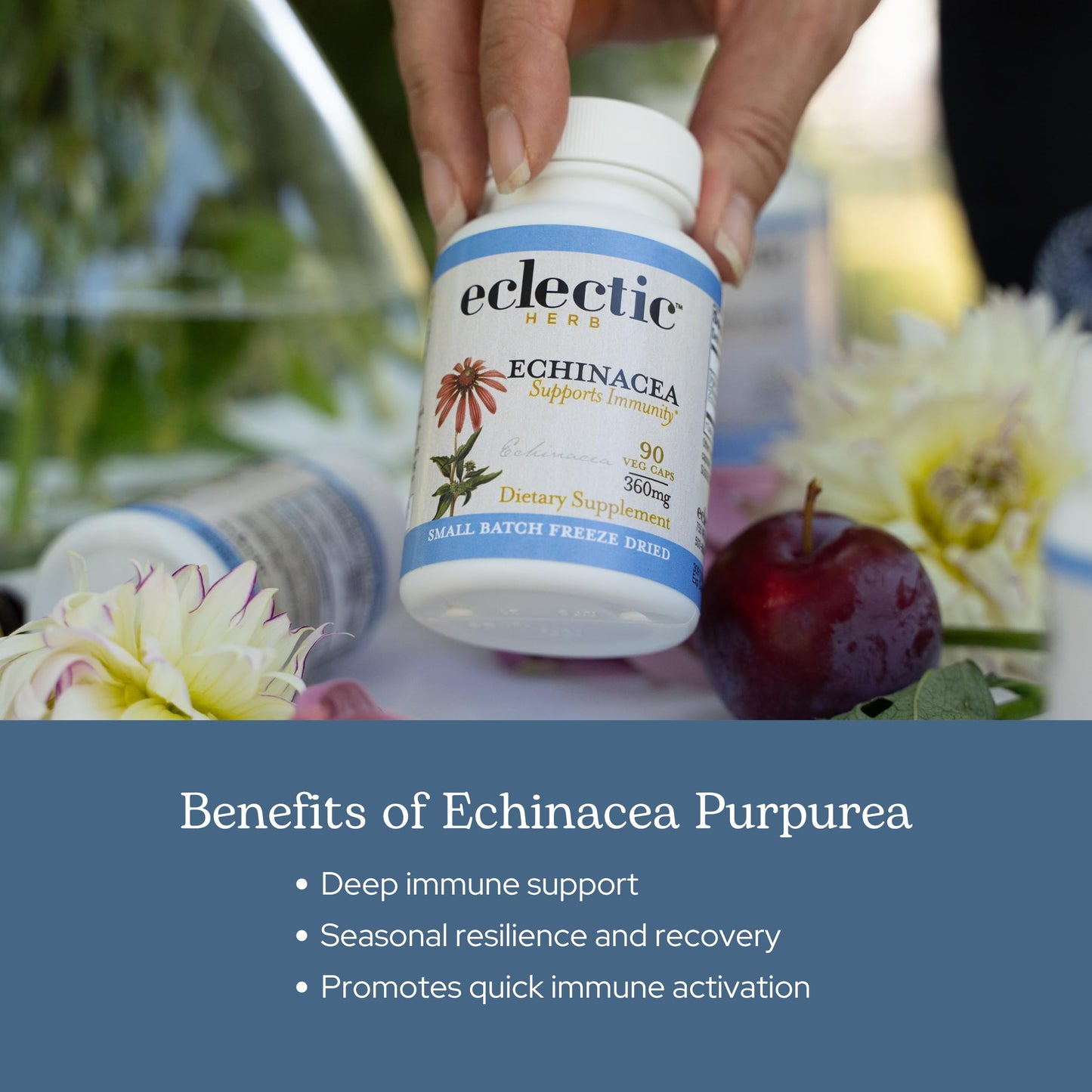 Eclectic Institute Echinacea Purpurea Root Capsules, 90 Count