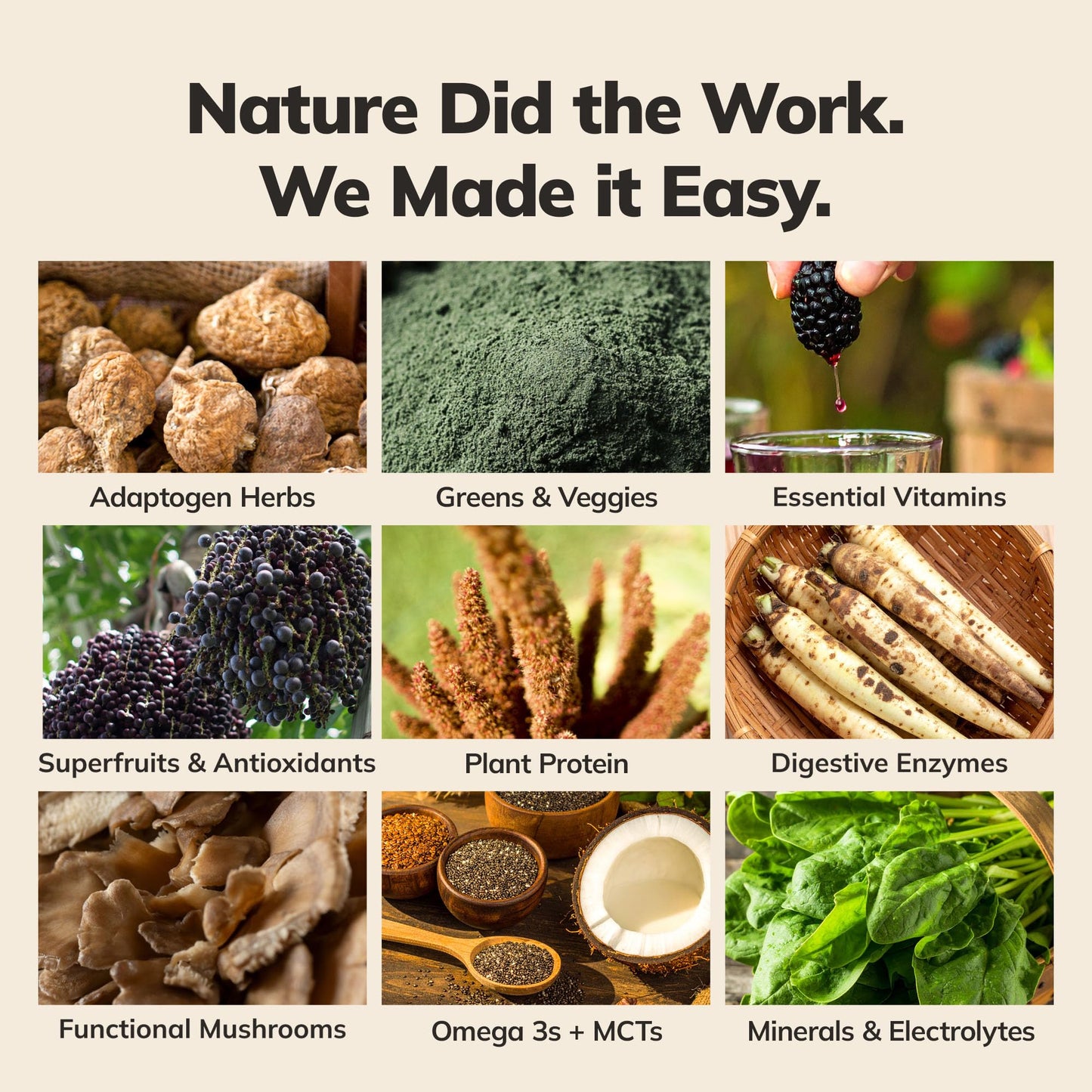Ka’Chava Whole Body Meal Shake Coconut Acai Powder 15 Servings