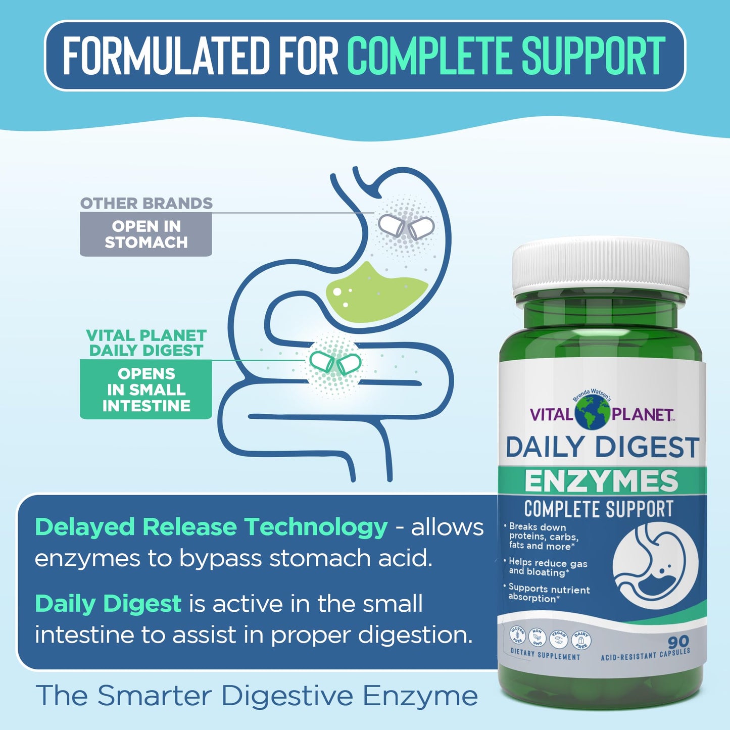Vital Planet Digestive Enzymes Daily Digest Complete Support Natural Enzyme Formula Capsules 90 Count