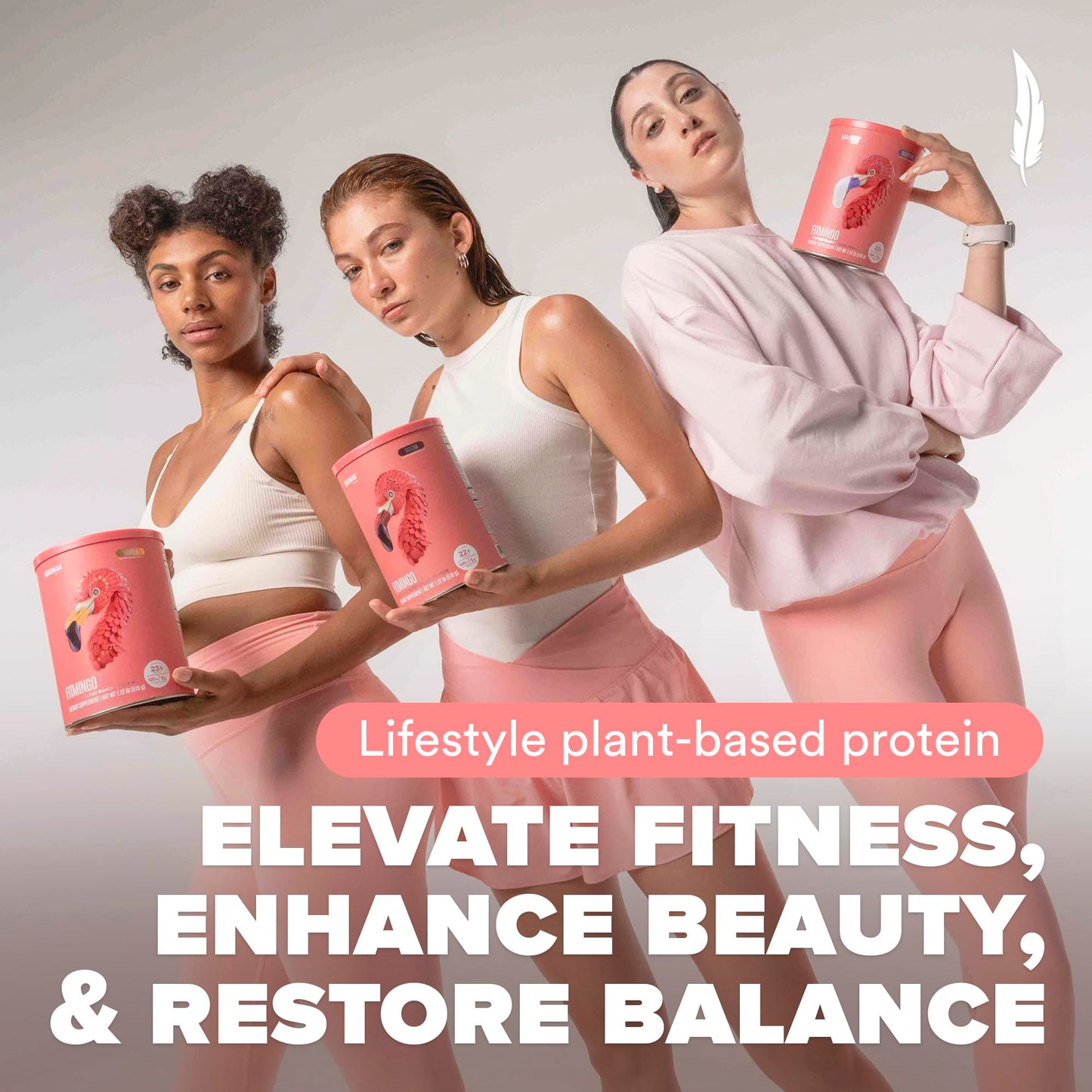 BIRDMAN Fitmingo Vegan Protein Powder 18