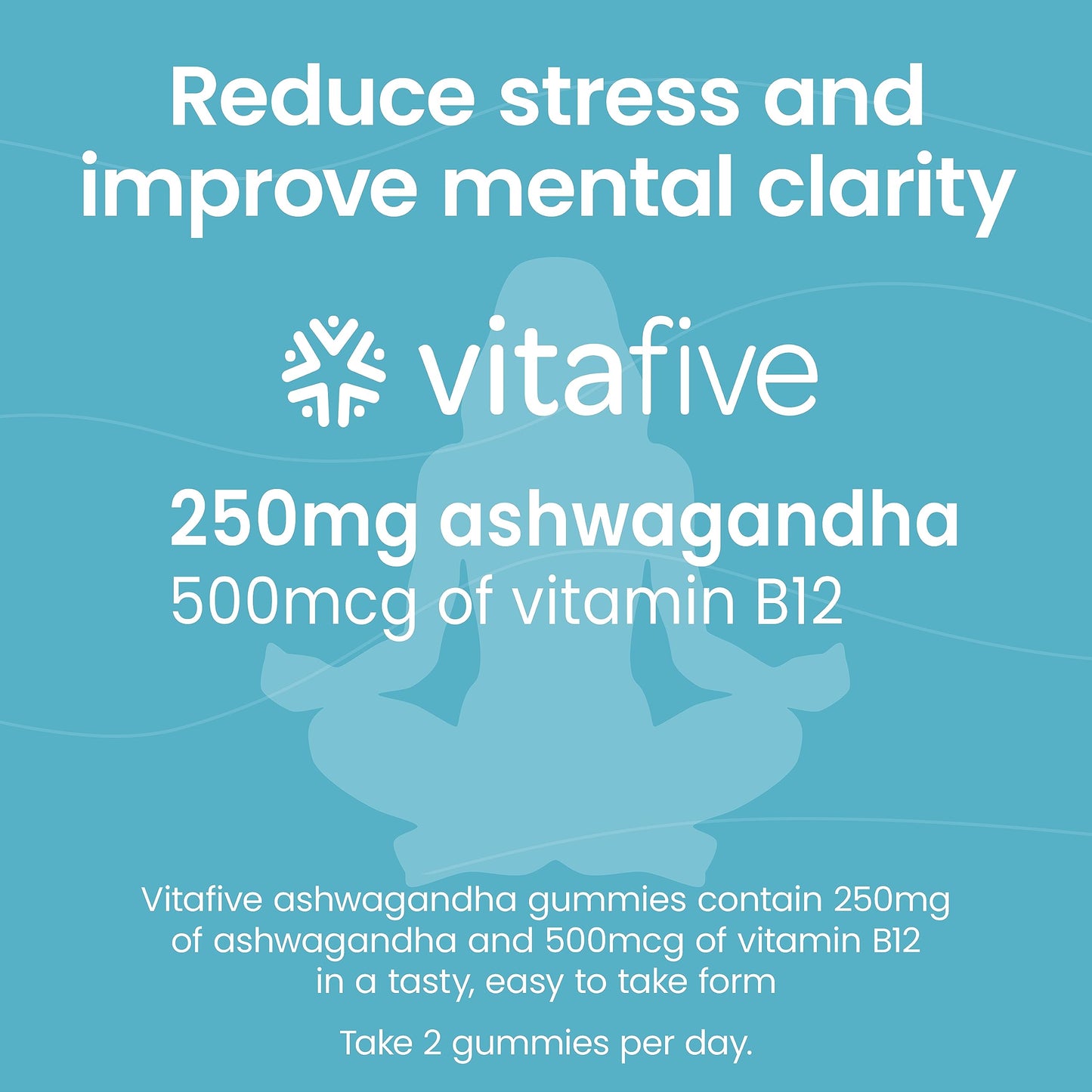 Vitafive Ashwagandha Gummies with Vitamin B12, Gummies, 50 Count