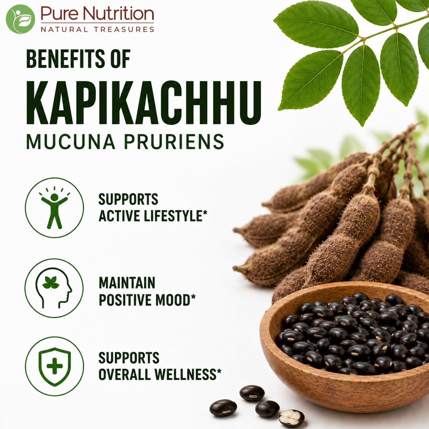Pure Nutrition Natural Treasures Mucuna Pruriens 500 mg 5:1 Extract Capsule, 120 Count