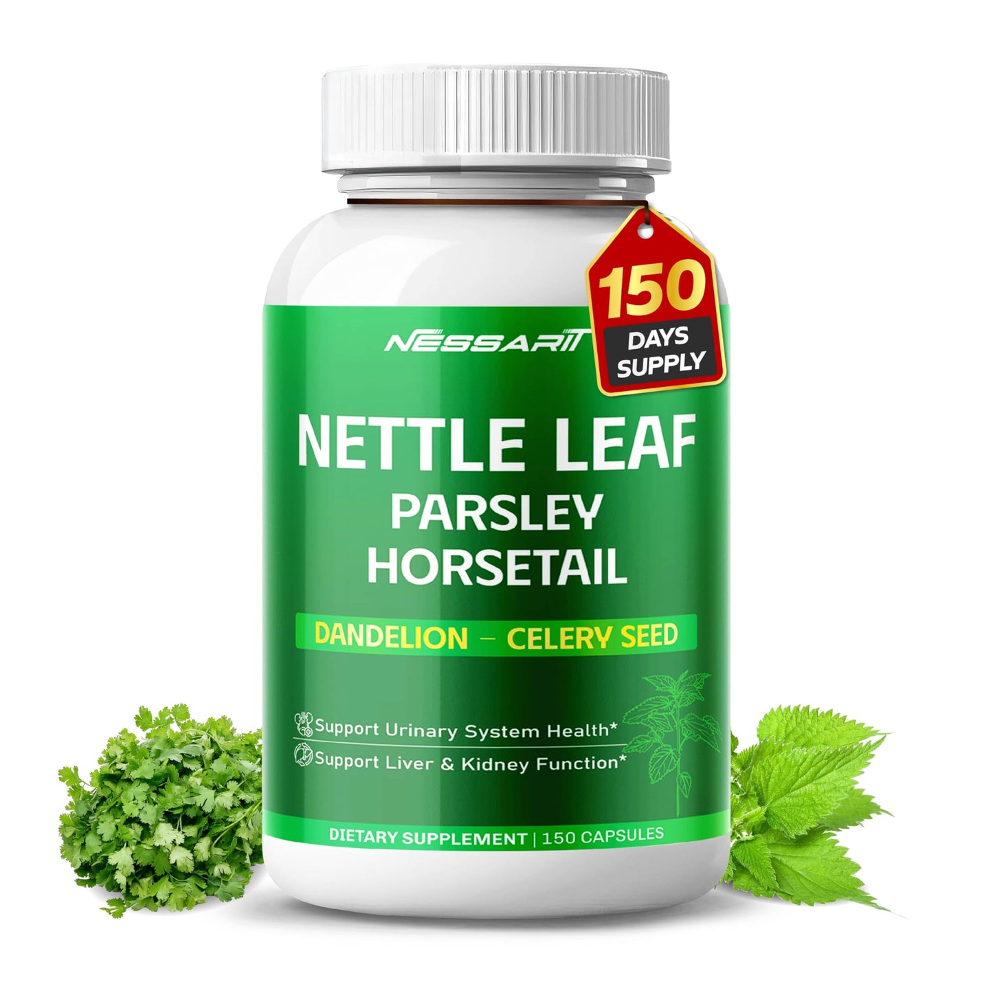 NESSARIT Nettle Leaf, Parsley, Horsetail, Dandelion & Celery Seed – Support Urinary Tract & Natural Detox – 150 Capsules