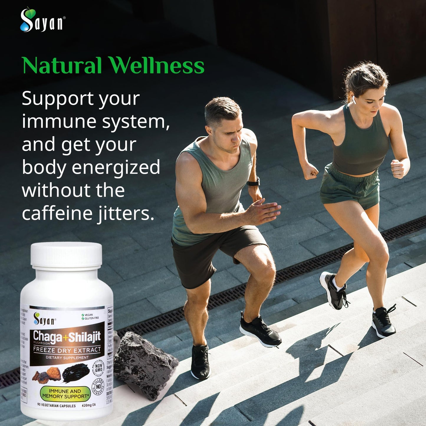 Sayan Siberian Chaga Mushroom Extract with Shilajit Capsules 90 Count