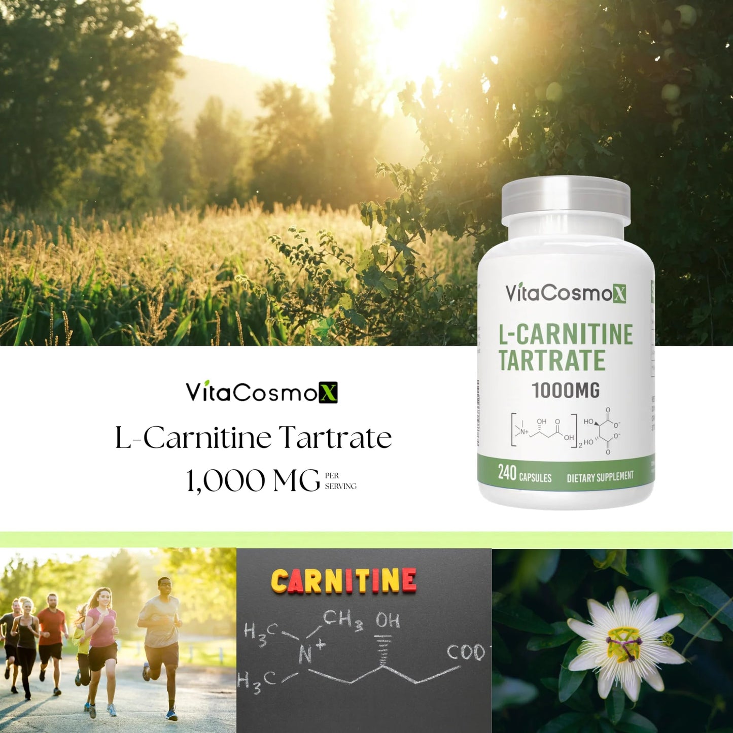 VitaCosmoX L-Carnitine Tartrate 1000mg, 240 Vegan Capsules