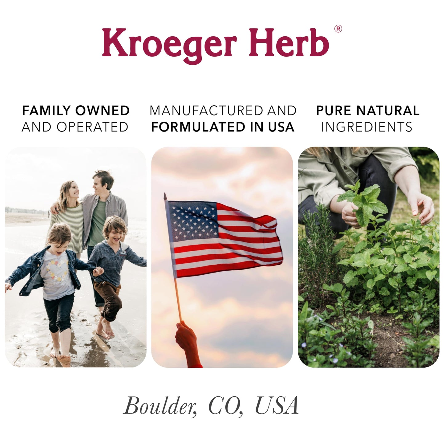 Kroeger Herb Products Black Radish and Parsley Supplement Capsule 100 Count