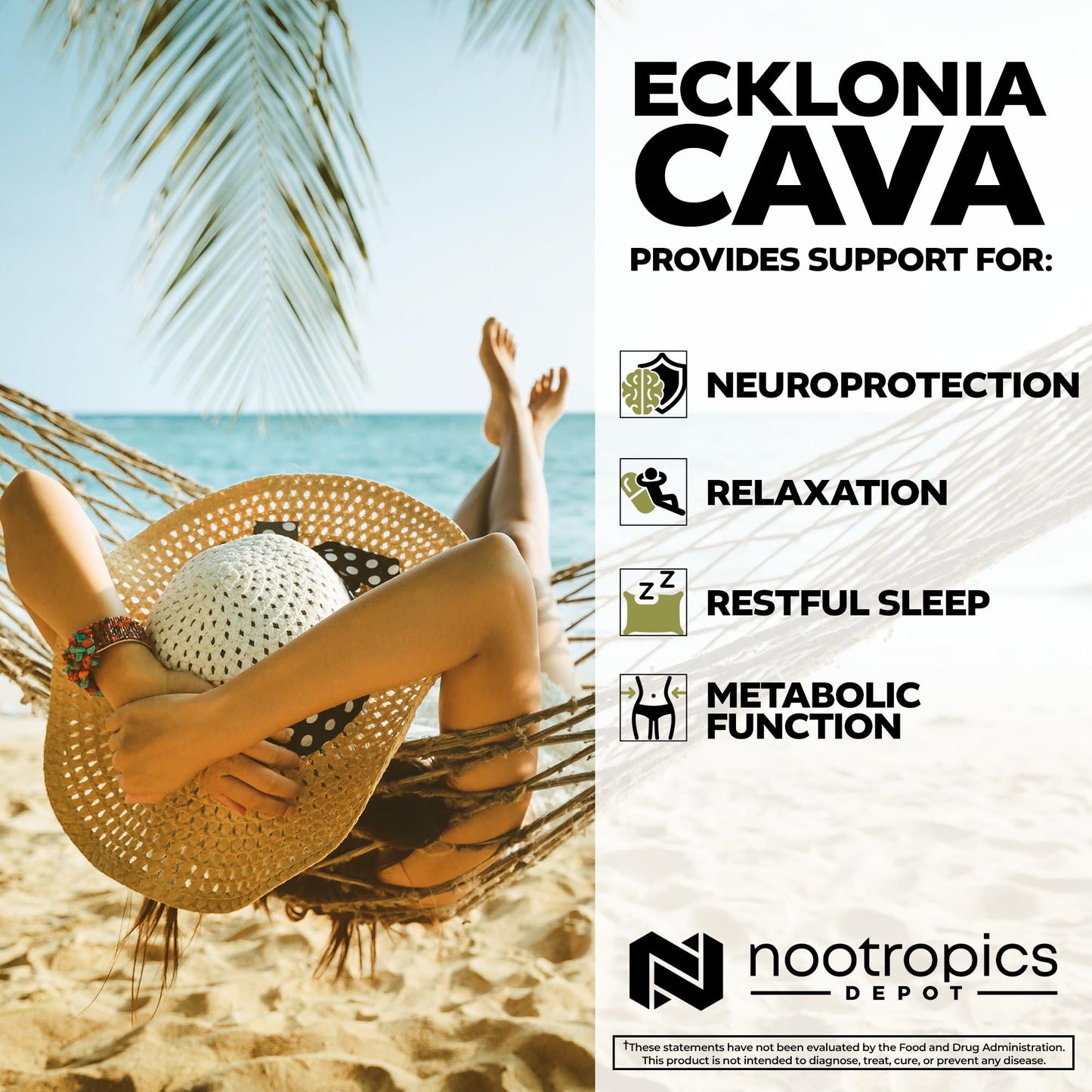Nootropics Depot Ecklonia cava Capsules 60 Count