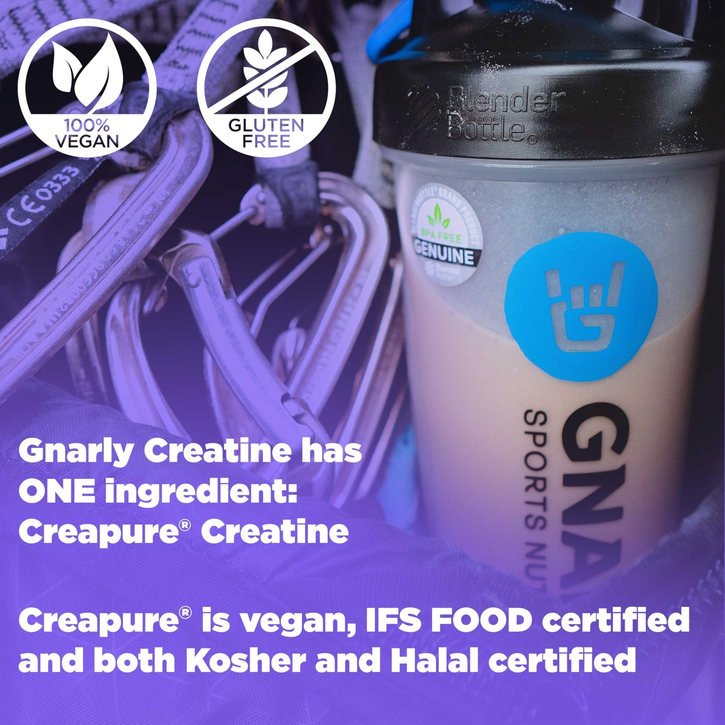 Gnarly Nutrition Creatine Powder, Unflavored (16.05 oz) and Gnarly Whey Grass-Fed Protein Powder, Chocolate (32.0 oz)
