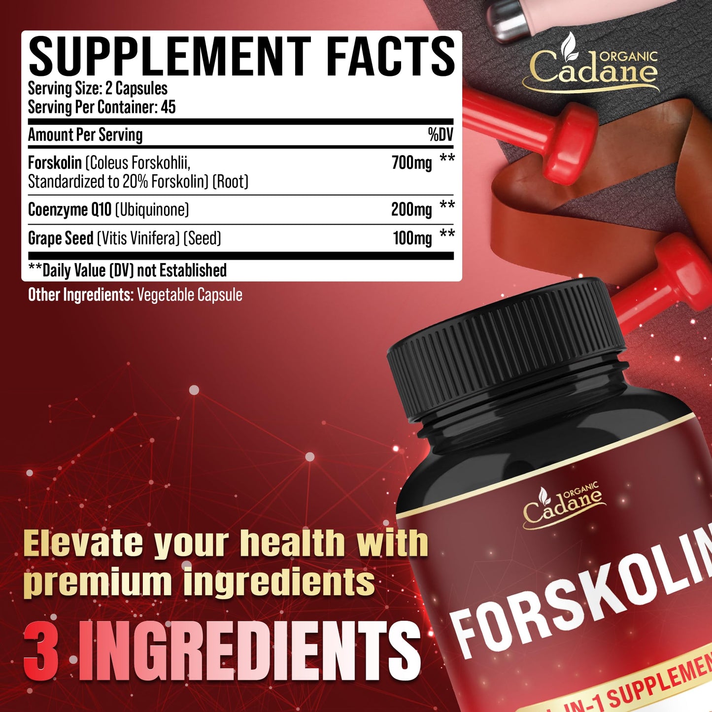 Organic Cadane Forskolin Supplement with Coenzyme Q10 & Grape Seed Extract 90 Capsules