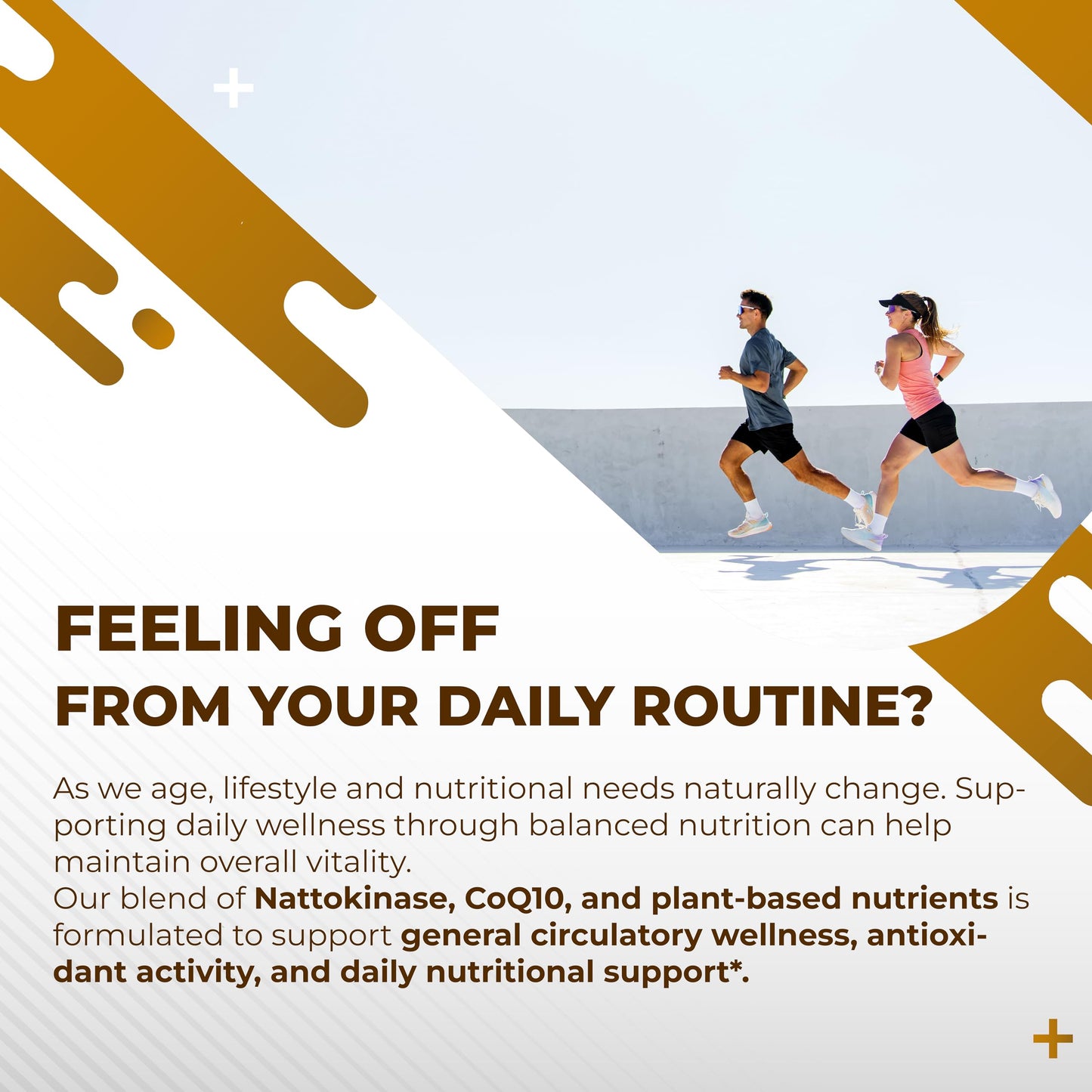 NURAFUSE Nattokinase 11-in-1 Formula with Red Yeast Rice CoQ10, Quercetin, Milk Thistle & Resveratrol, 150 Capsules