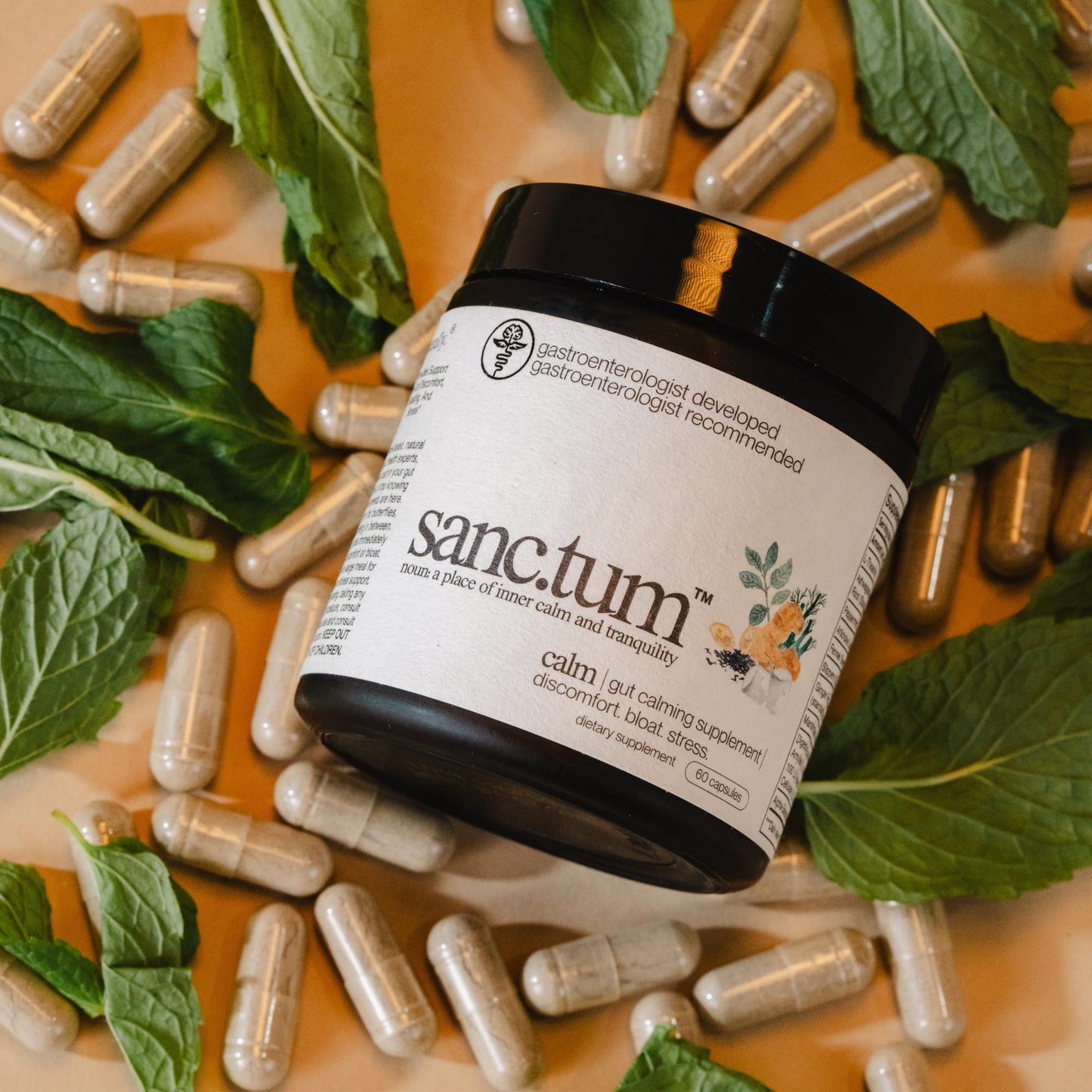 Sanctum Gut Calming Supplement Capsule 60 Count