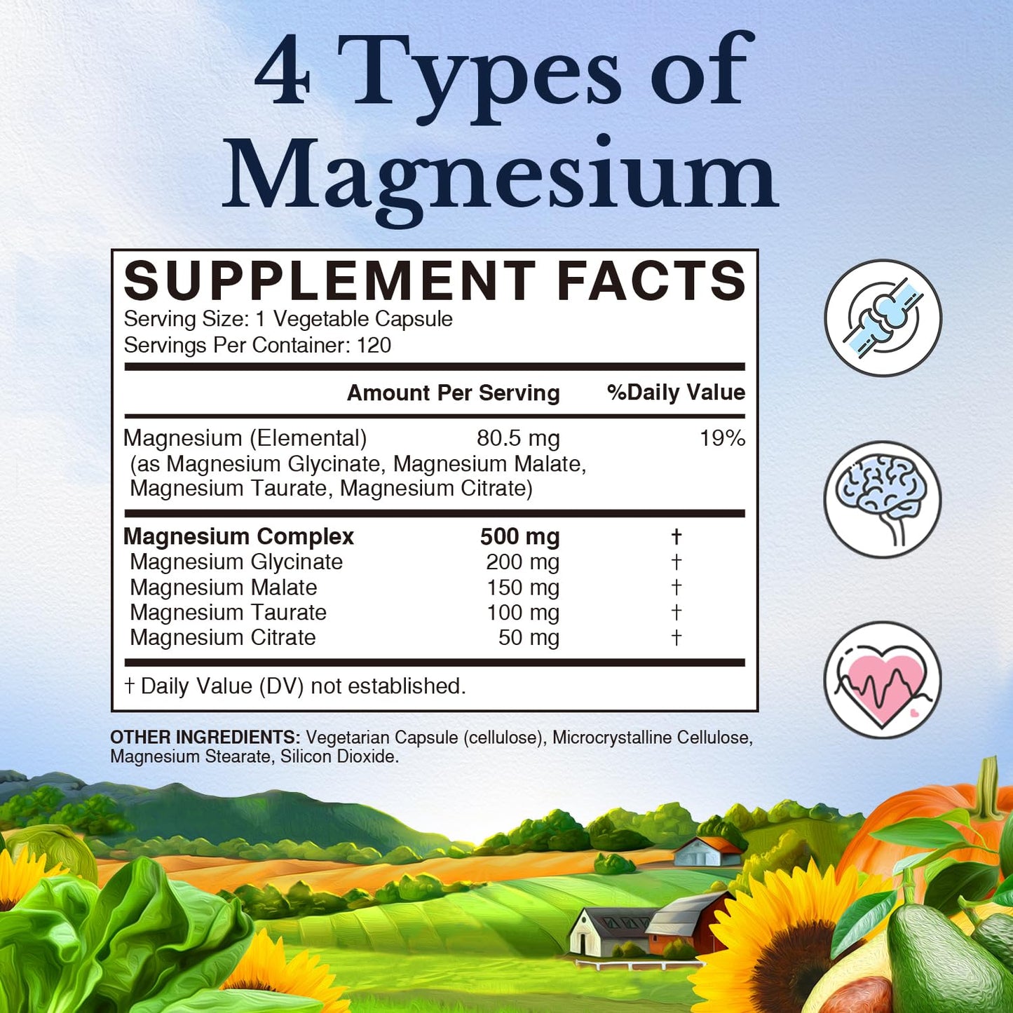 Vitalitown Magnesium Complex & Vitamin D3 K2 Bundle Capsules, 210