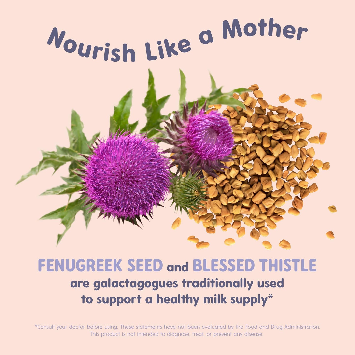 OAT MAMA Organic Lactation Supplement Slay Mama Blessed Thistle & Fenugreek Capsules, Herbal Lactation Blend, Postpartum Support for Breastfeeding Moms, 1 Count