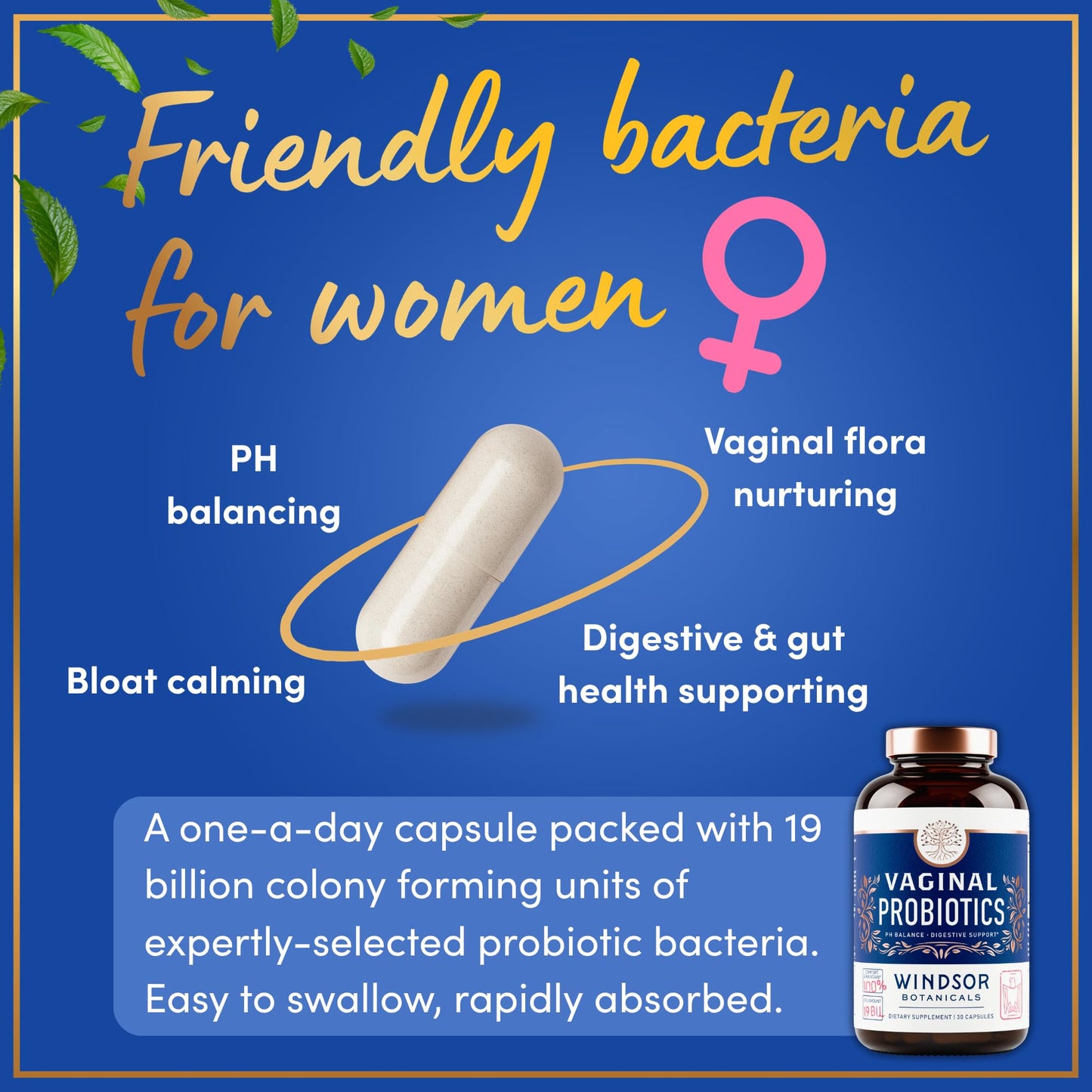 WINDSOR BOTANICALS Vaginal Probiotics for Women 30 Capsules