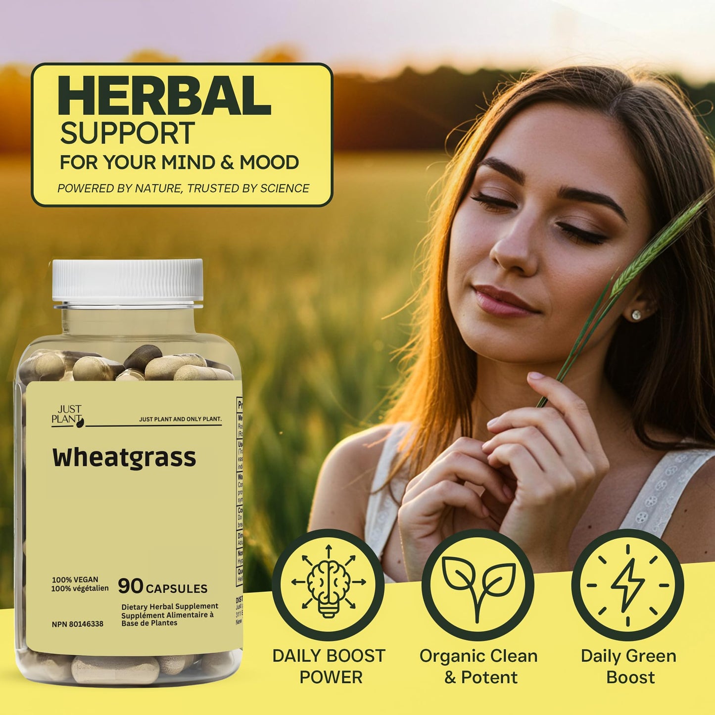 Just Plant Organic Wheat Grass Capsules 500 mg, 90 Count