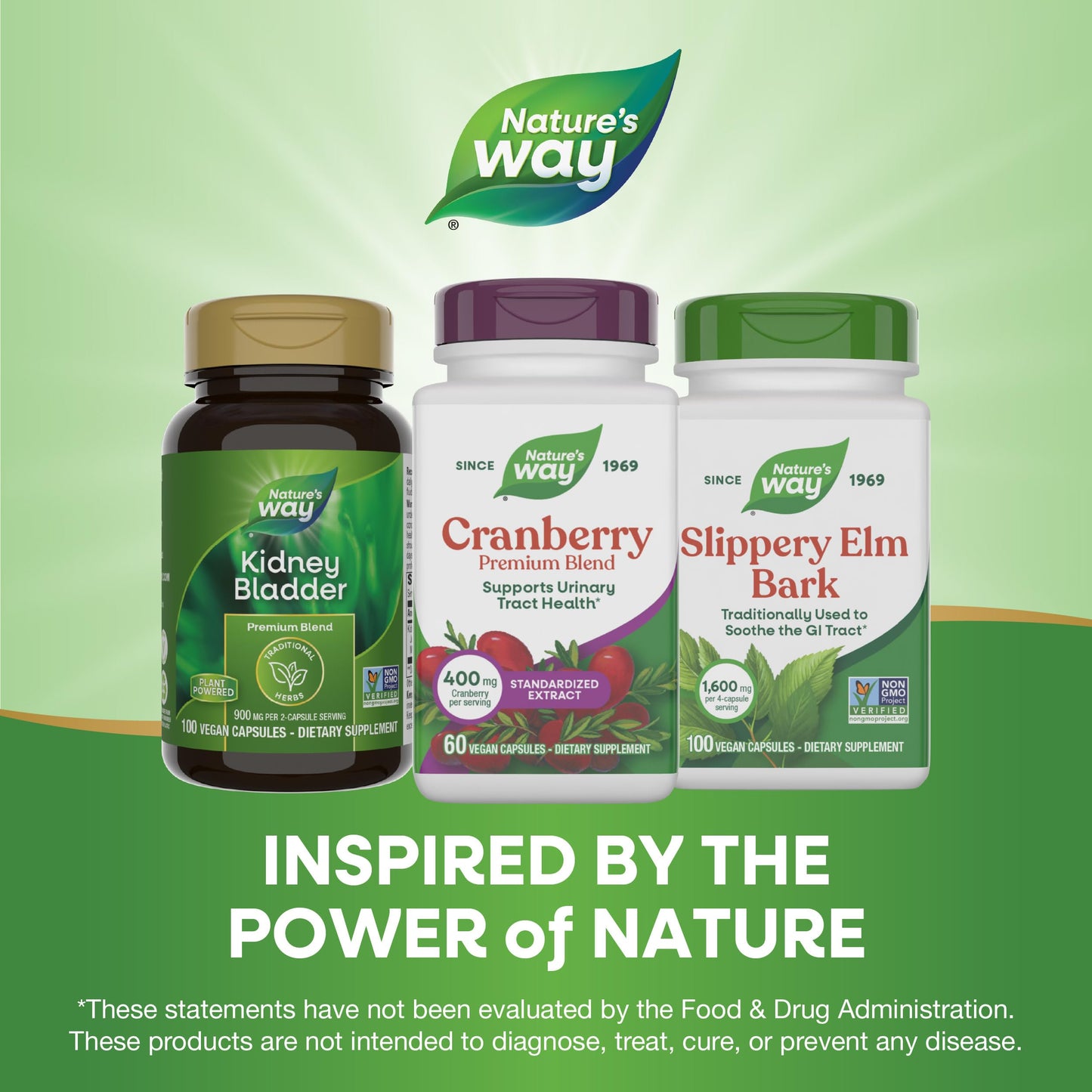 Nature's Way Premium Blend Cranberry Urinary Tract Health Support Capsules, 60 Count