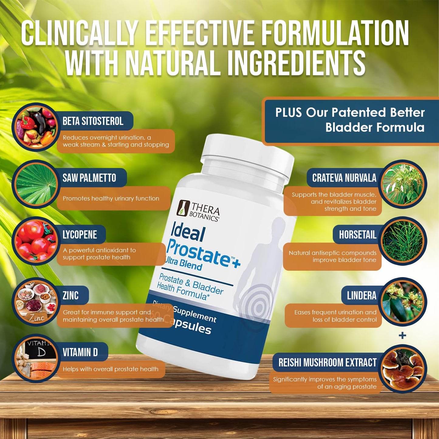 Therabotanics Advanced Men's Prostate Support Capsule 120 Count