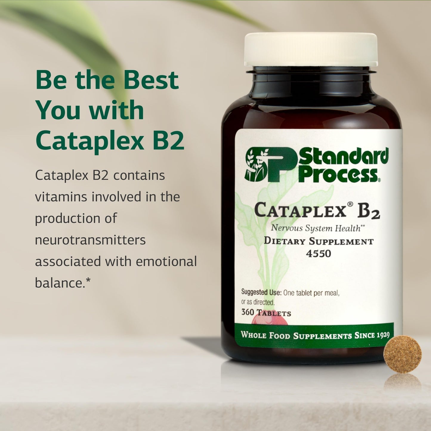 Standard Process Inc. Cataplex B2, Nervous System & Brain Health Tablet, 360 Tablets