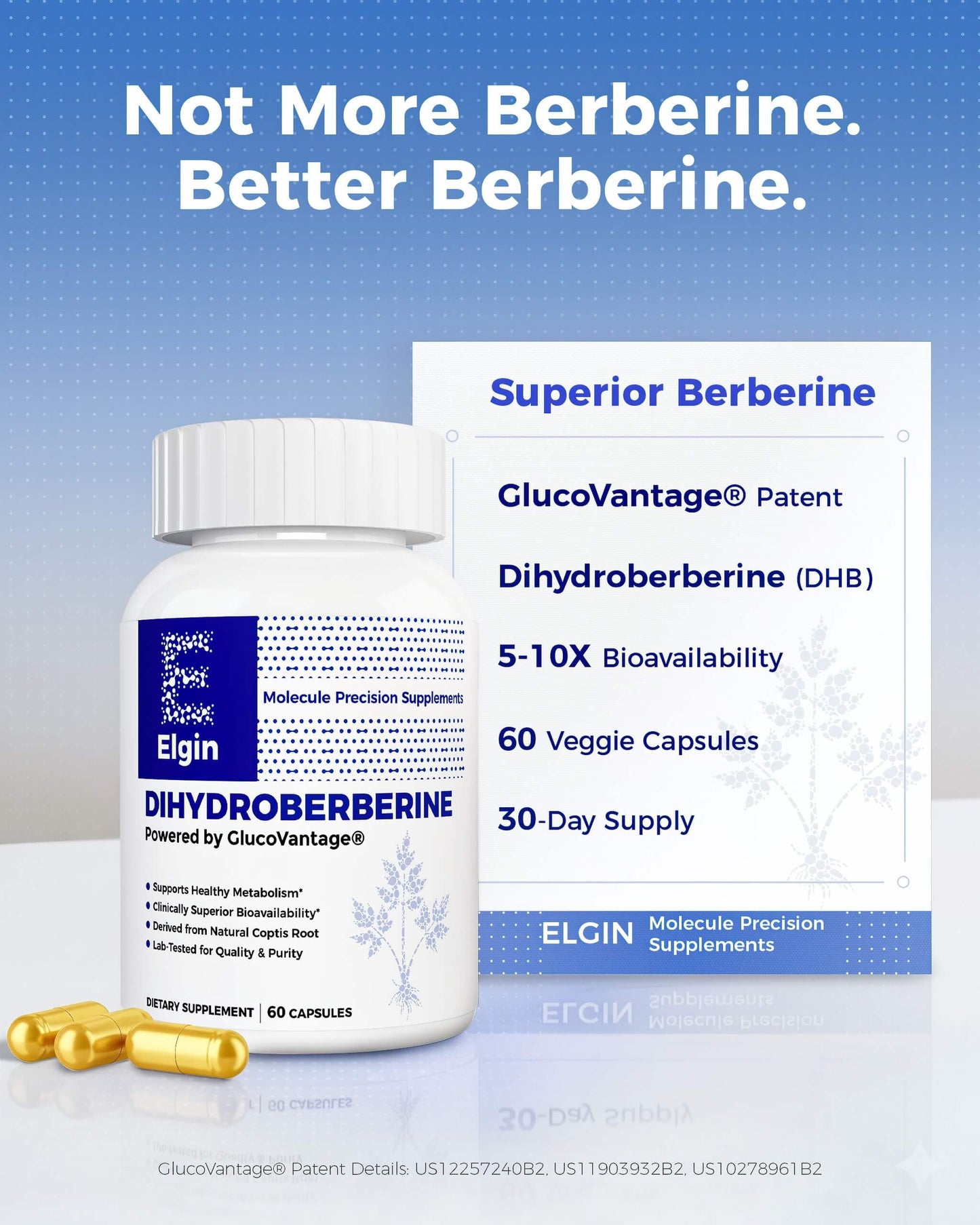 Elgin Precision Berberine Dihydroberberine 60 Capsules