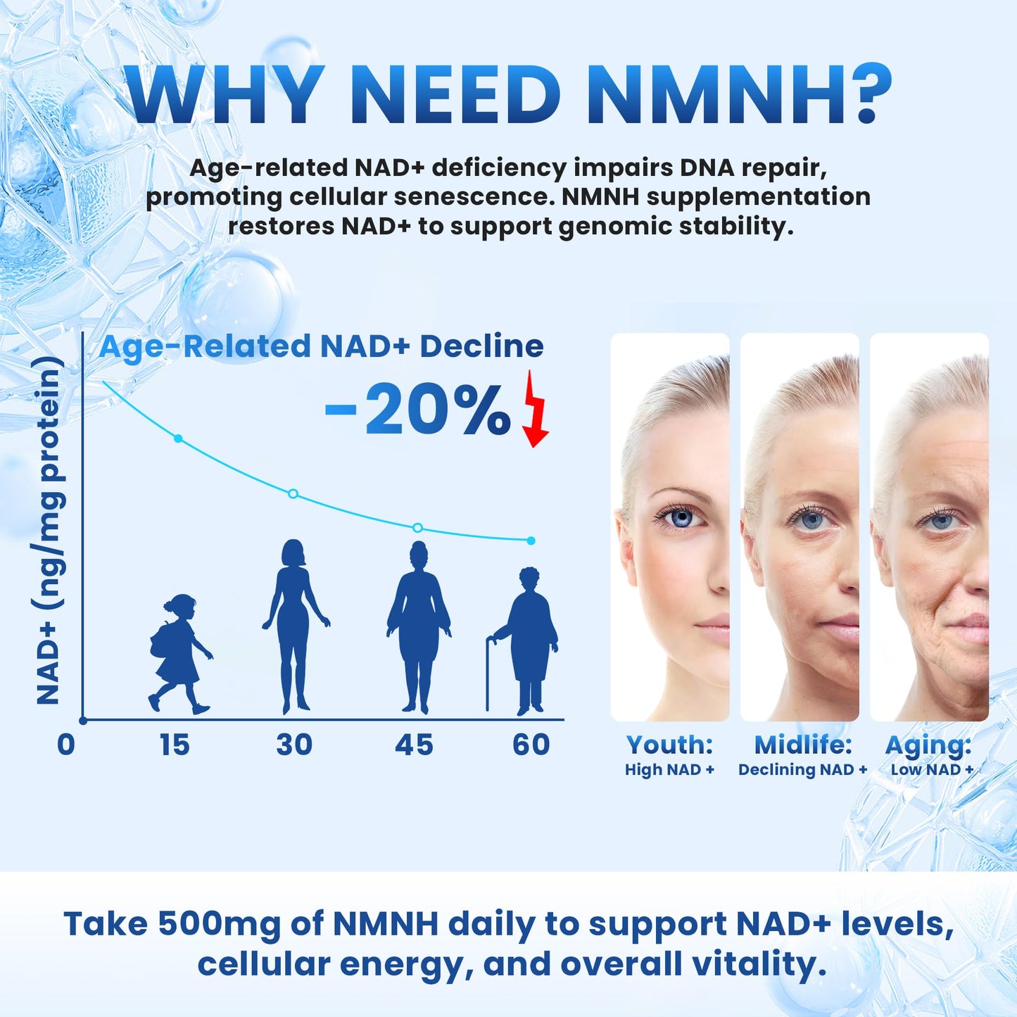 Kinetara NMNH (NMN Supplement Alternative), NAD+ Supplement with Dihydronicotinamide Mononucleotide for Cellular Health, Healthy Aging & Sustained Energy, Capsule, 60 Capsules