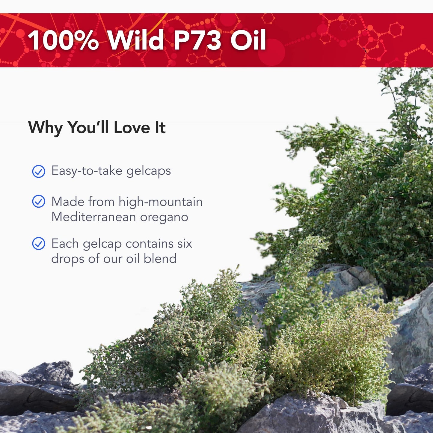 Physician's Strength Wild Oil of Oregano Softgels 60 Count