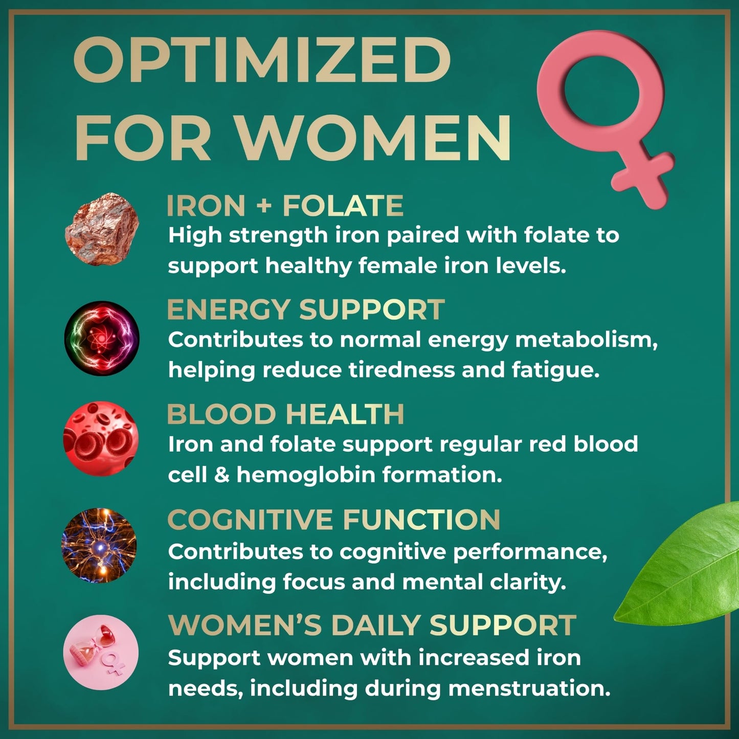 WILD FUEL Iron Supplement for Women with Folic Acid - 35 mg Ferrous Sulfate, Folic Acid 400 mcg, Gluten-Free, Vegan, 60 Tablets
