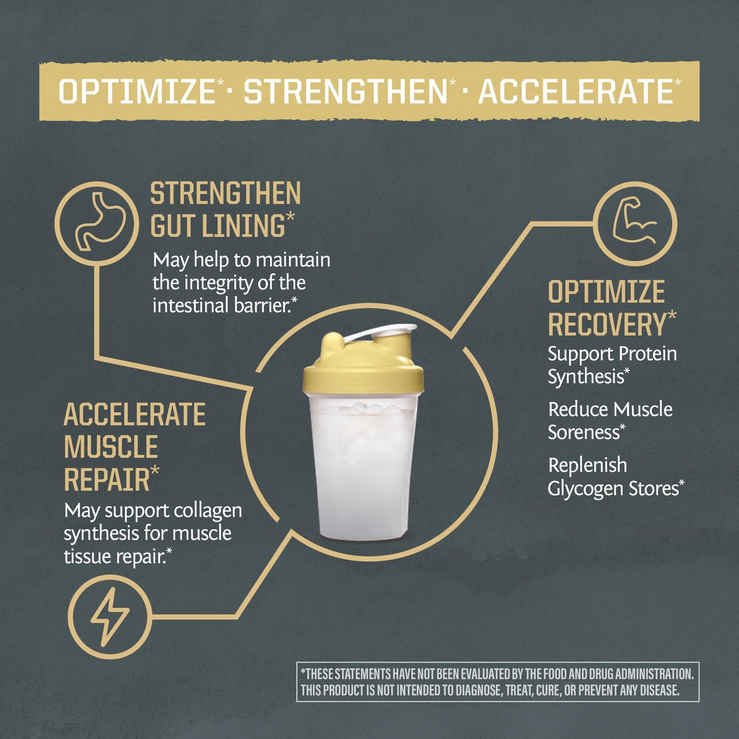Sunwarrior L-Glutamine Powder 17.6 oz