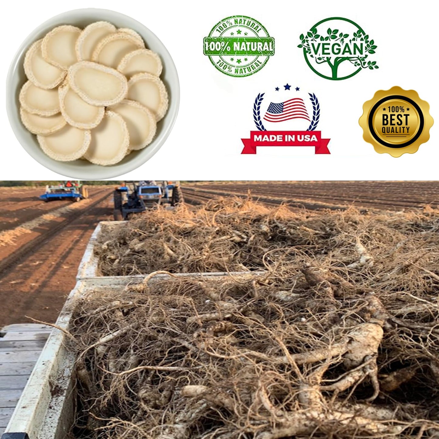 DABC OAK LAND American Ginseng Slices from Wisconsin Tablets, 4 Count