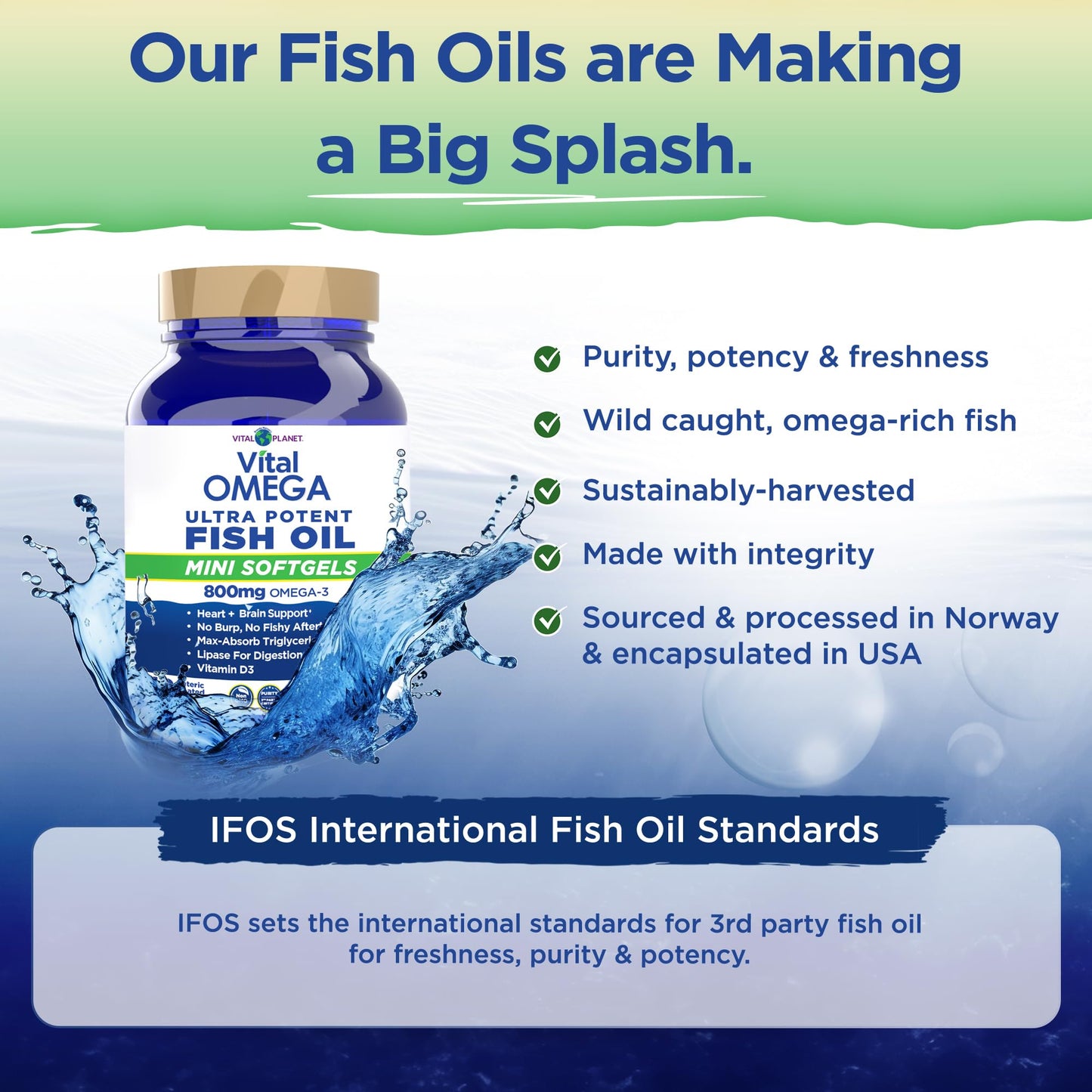 Vital Planet Vital Omega-3 Fish Oil Mini Softgels with 800mg Wild-Caught Omega-3s (EPA, DHA, and DPA) for Heart Health, 60 Softgels