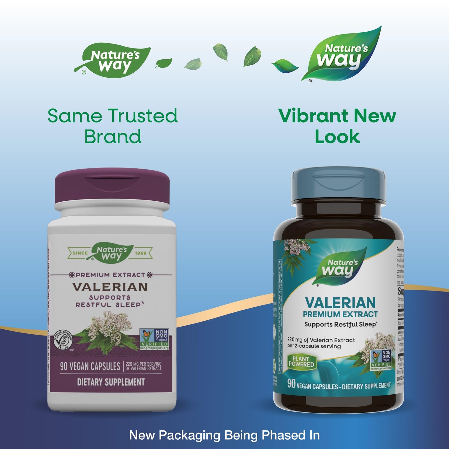 Nature's Way Valerian Premium Extract 220 mg per 2-Capsule Serving Capsules, 90 Count