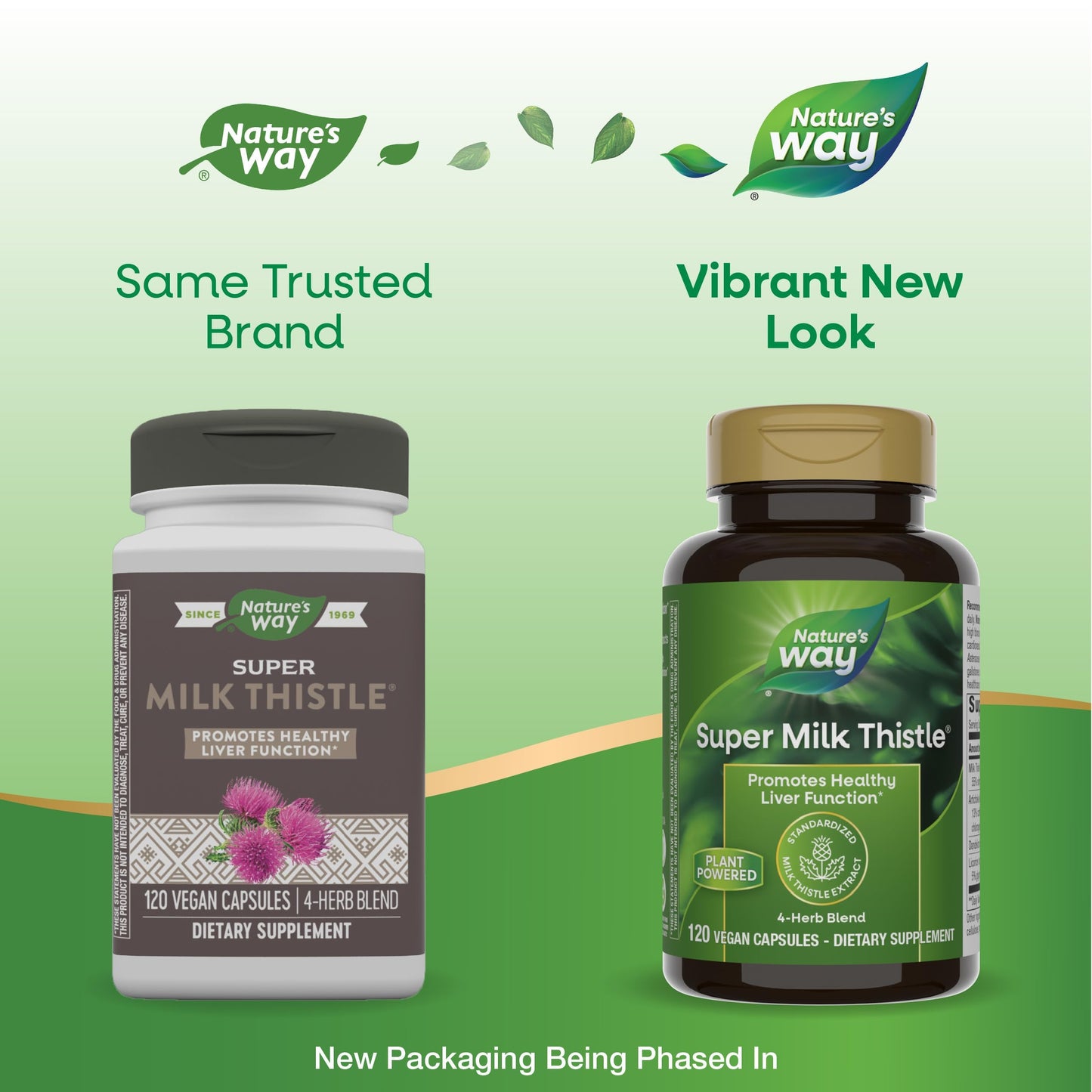 Nature's Way Super Milk Thistle Capsules 240