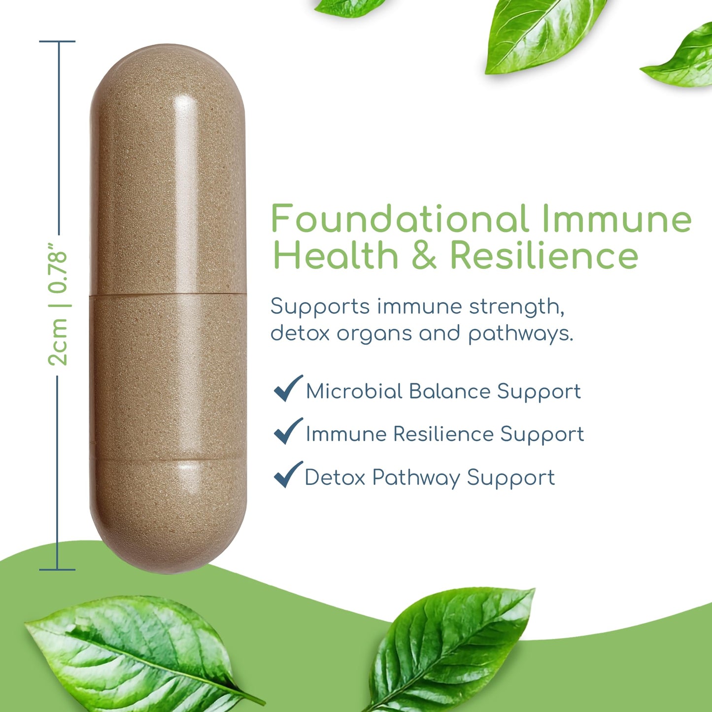 Return Healthy Cryptolepis Synergy Immune Support, 120 Capsules