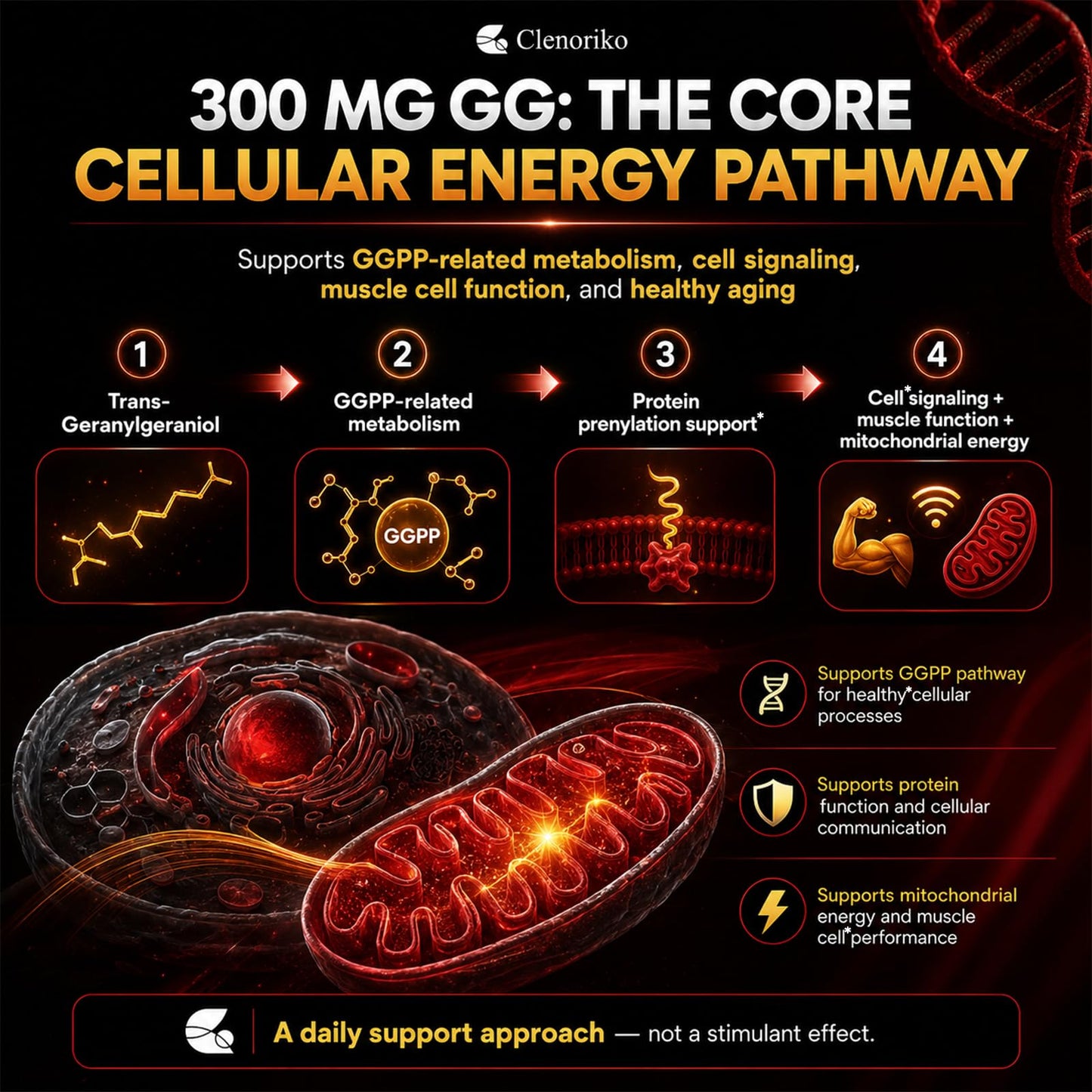 Clenoriko GG-Max Geranylgeraniol GG Supplement 300mg for Men Softgel, 120 Count