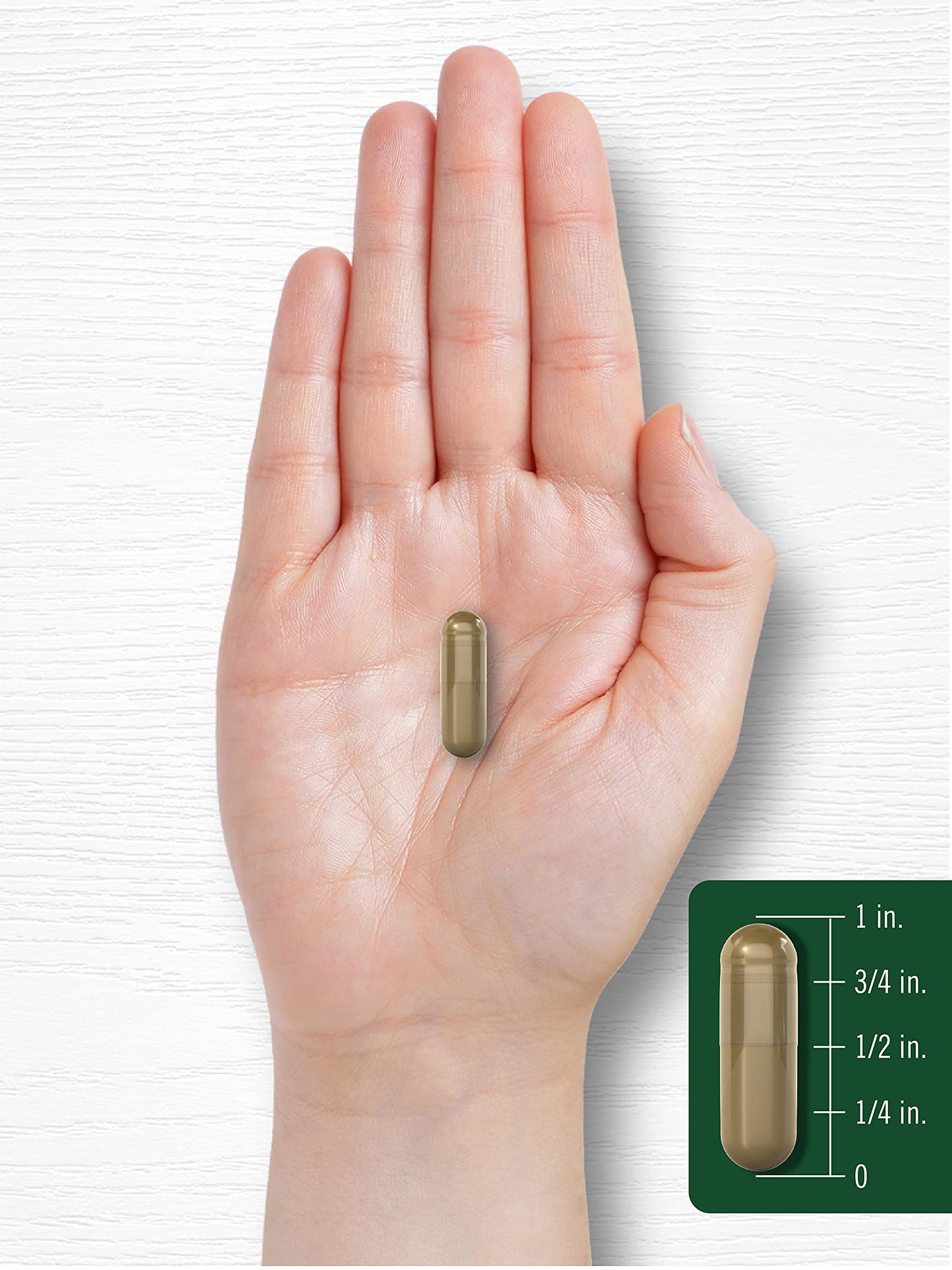 Carlyle Yellow Dock Root Capsules 200 Count
