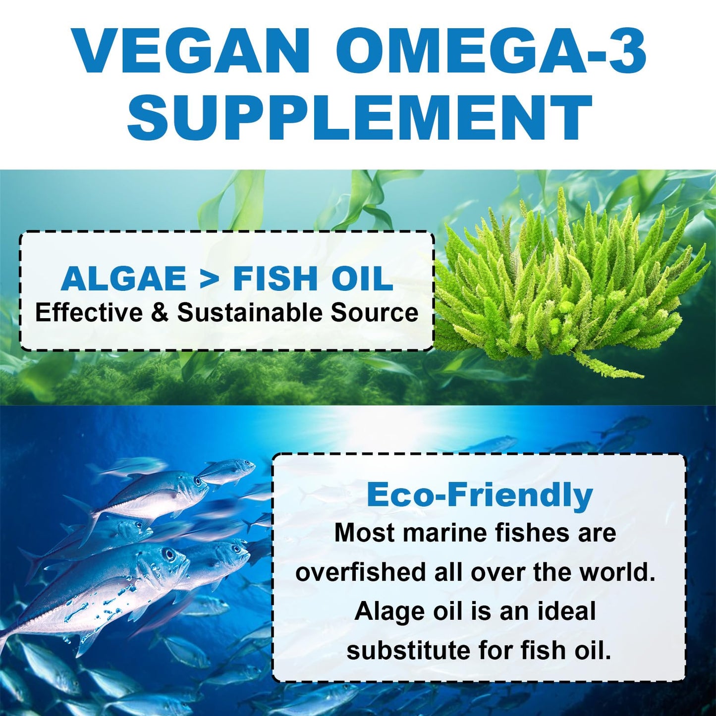 Flyrocer Vegan Omega 3 Gummies, 60 Count