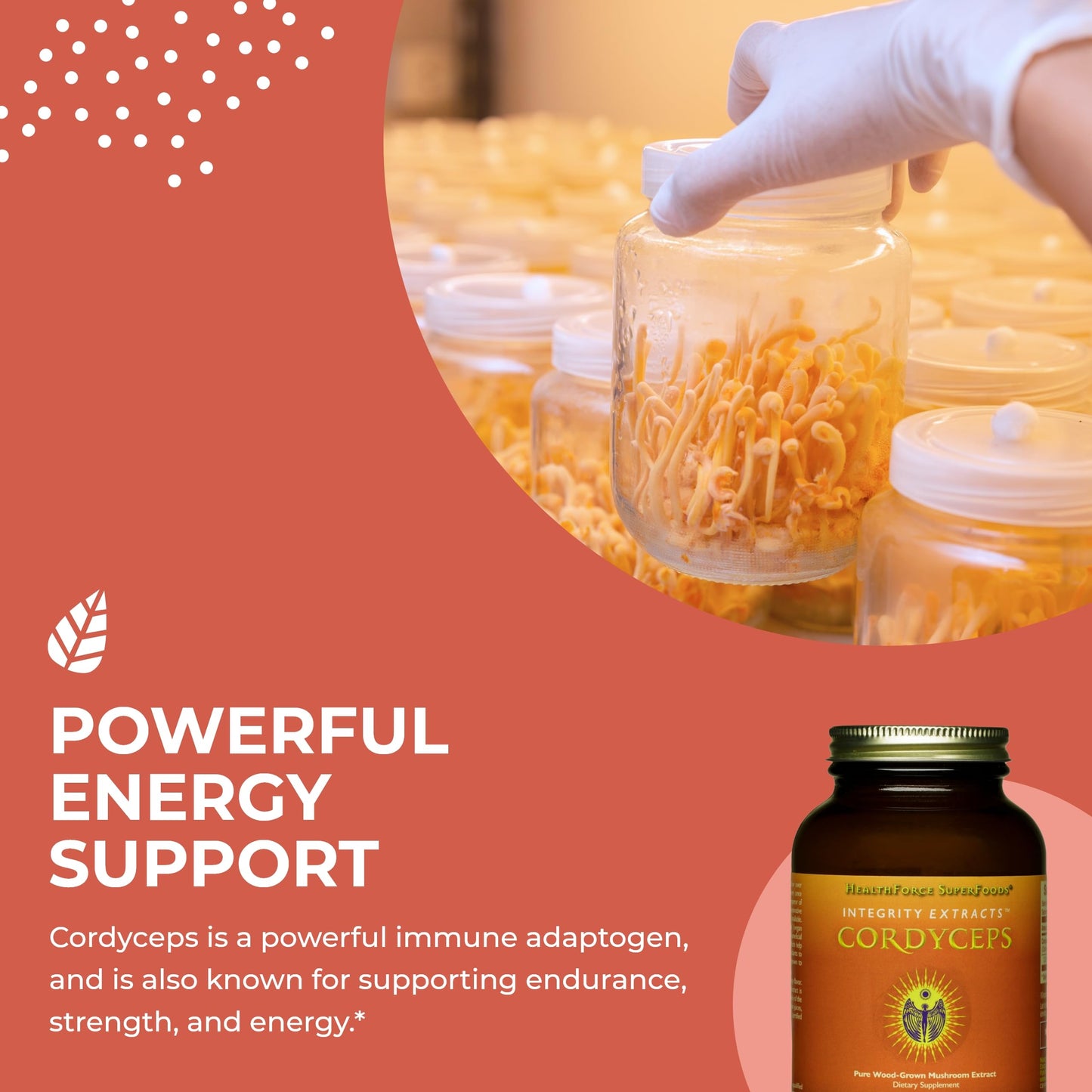 HEALTHFORCE SUPERFOODS Integrity Extracts Cordyceps Powder 130 Grams