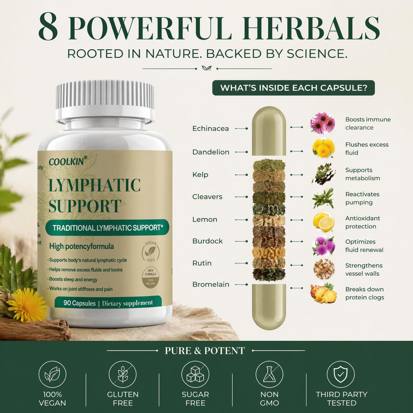 COOLKIN Natural Lymphatic Drainage Supplement Capsule 60 Count
