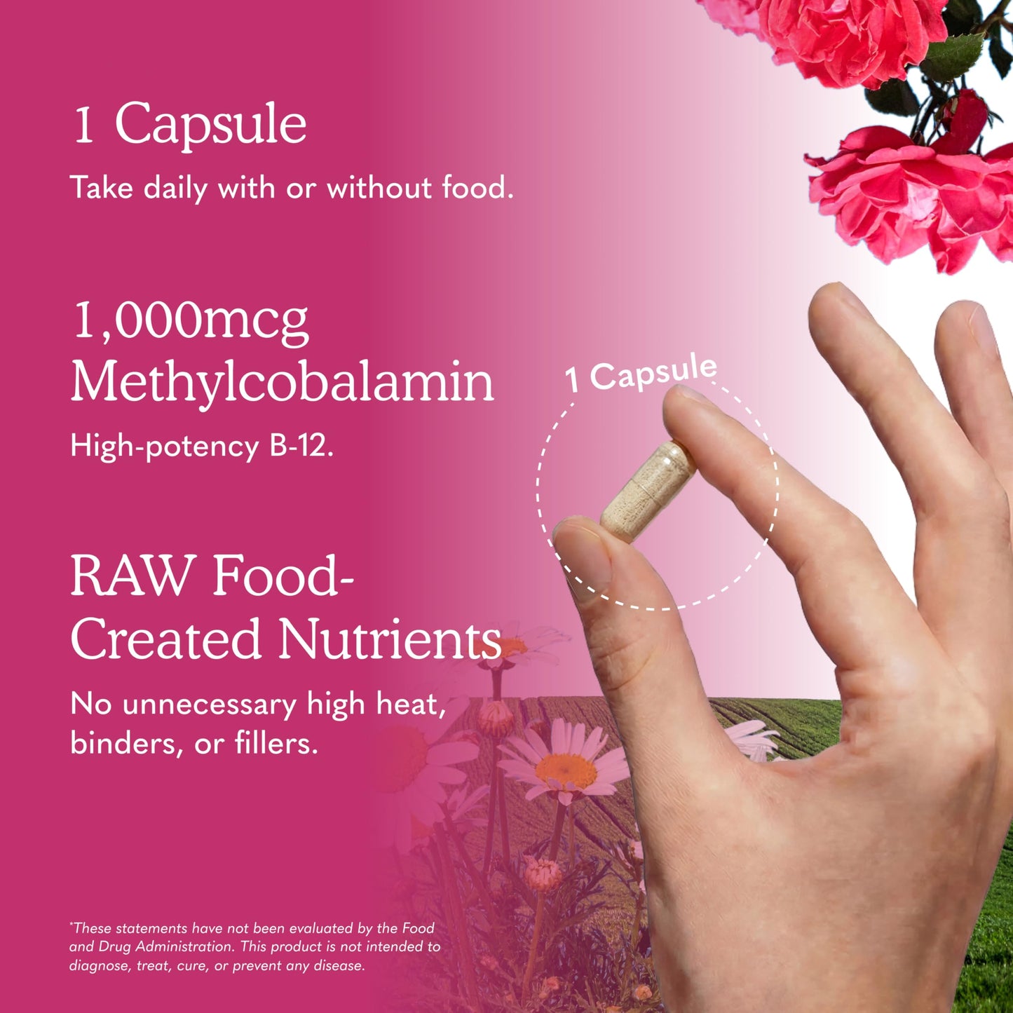 Garden of Life Vitamin Code Raw B-12 Methylcobalamin Vitamin B-12 for Digestive, Metabolism, Energy Support - Formula with Probiotics and Enzymes, Non-GMO, Gluten-Free, Vegan, 30 Capsules