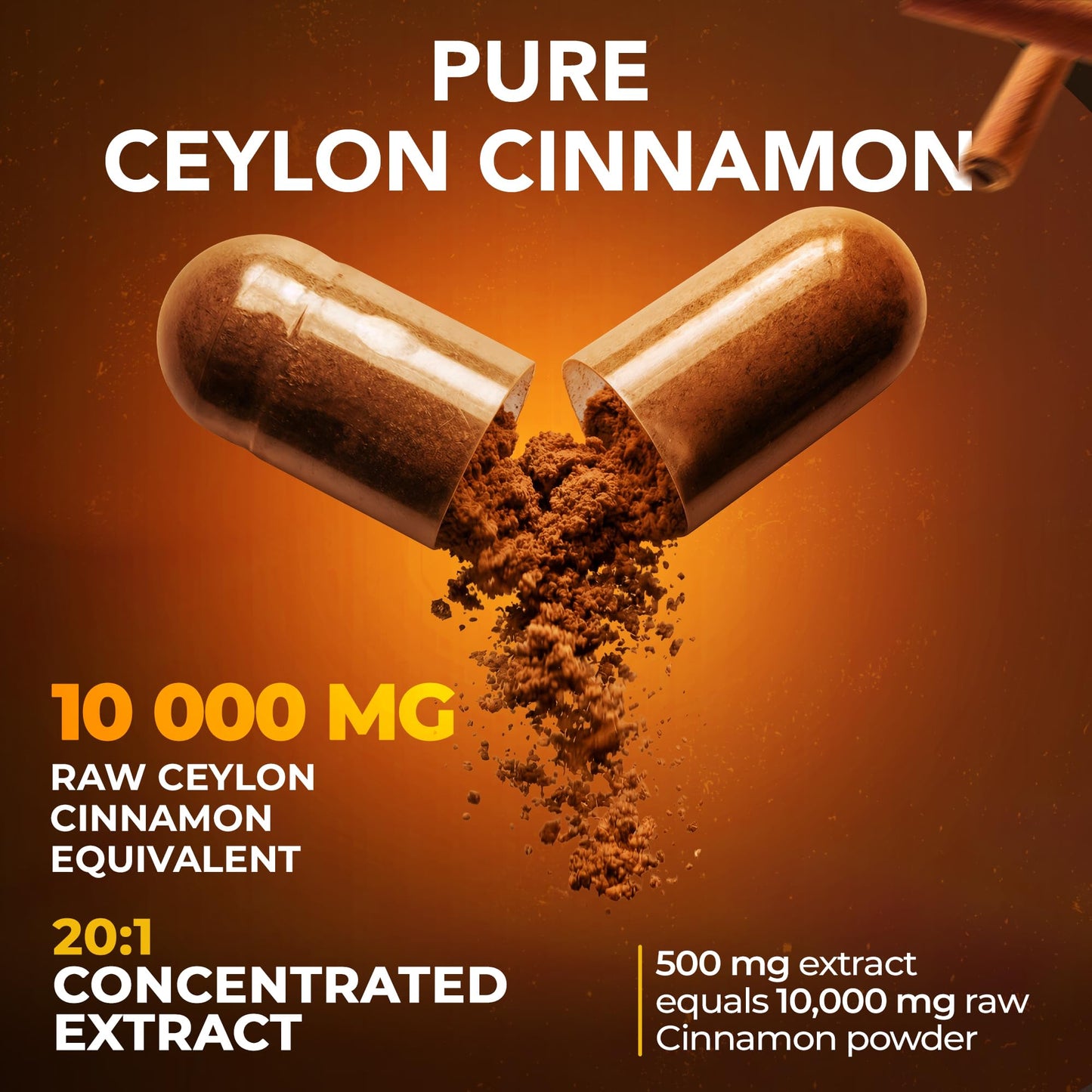 NutriFact Ceylon Cinnamon 500mg Capsules 60 Count